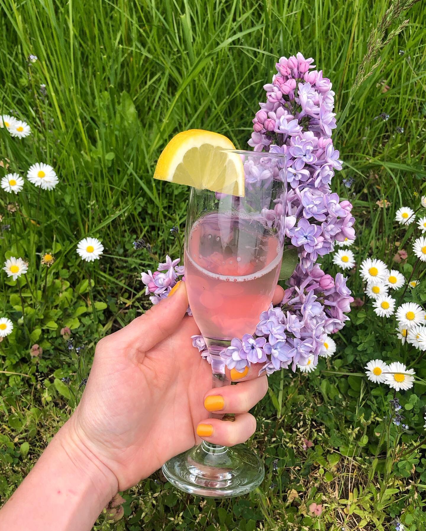 Mothers Day Giveaway!  Enter to win a bottle of our limited edition Lilac sparkling honey drink.  This batch is made with freshly foraged blossoms and captures the beautiful spring time scent of lilacs.  Our base is green tea and babes honey fermente