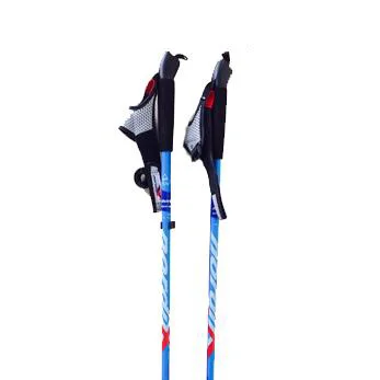 walker-poles.jpg