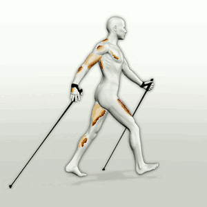 Nordicwalker.gif