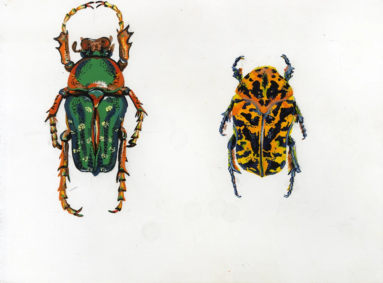 beetle_bugsA_002.jpg