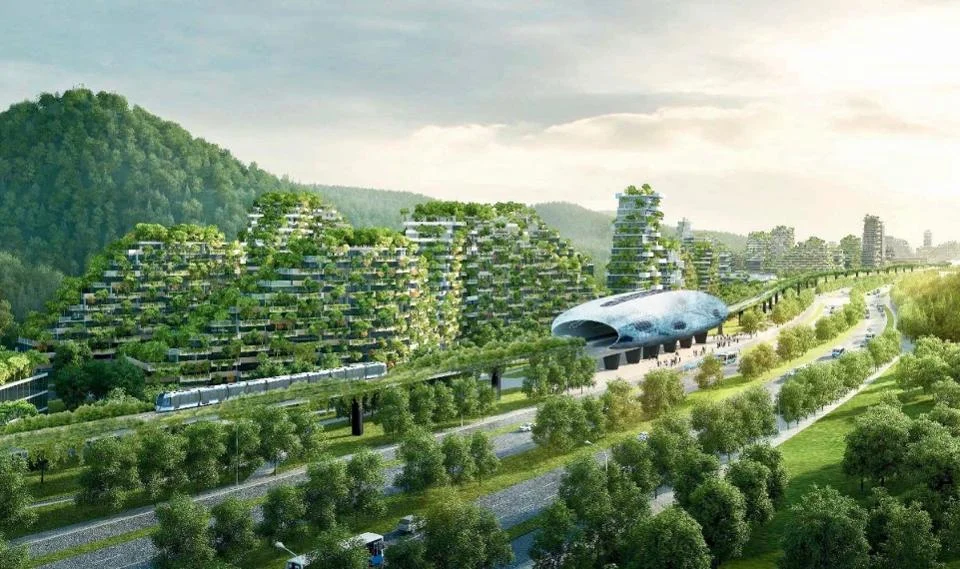 forest city.jpg