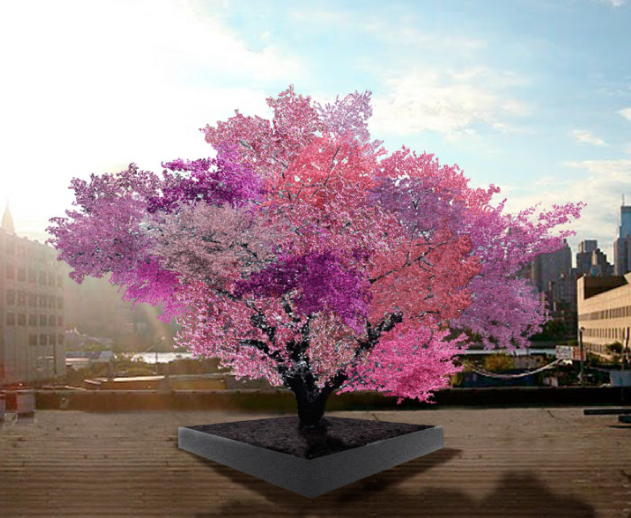 Apples, pears, plums, peaches, cherries and apricots — all thrive together in “The Tree of 40 Fruit” by artist Sam Van Aken, a living art installation that uses centuries-old techniques to preserve heirloom and rare fruit varieties threatened by industrial fruit production. On display at the Nature—Cooper Hewitt Design Triennial exhibition, which opens today in New York.