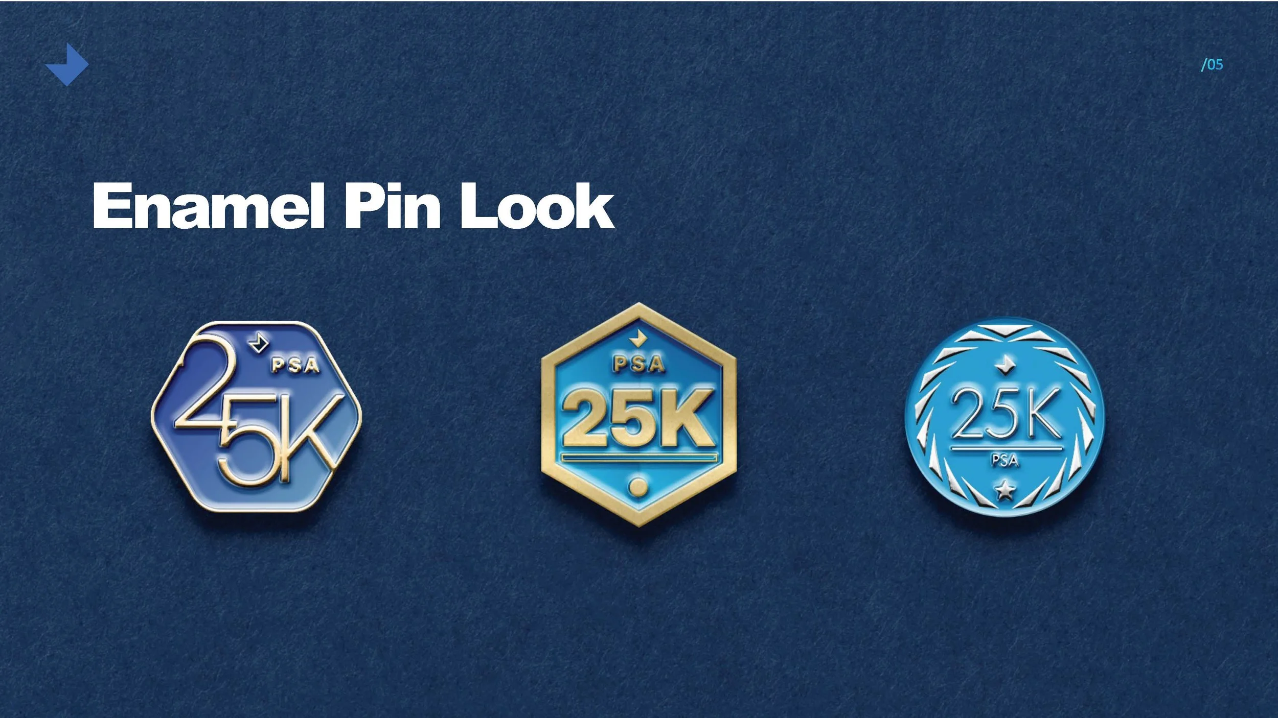 Badges PSA 3-28-22_Page_5.jpg