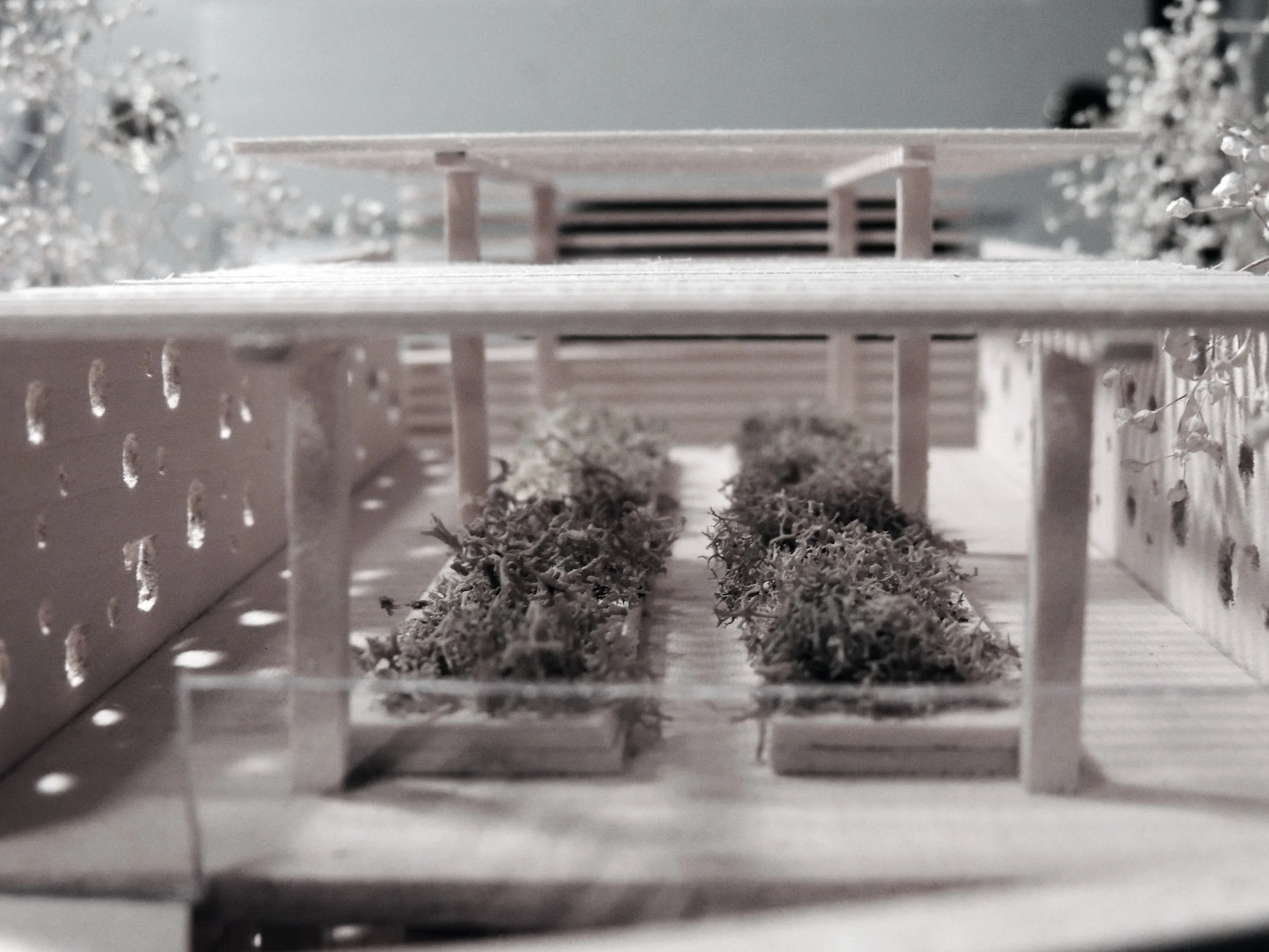 ADE 511_Boylan_Barrio Libre_Model 3_Fall 2014.jpg