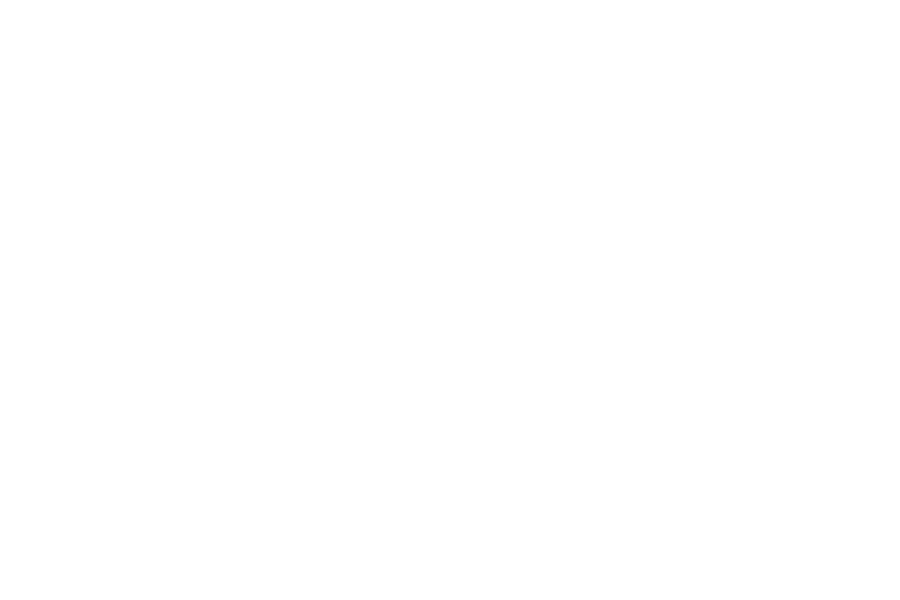 Kate Dessa Consulting