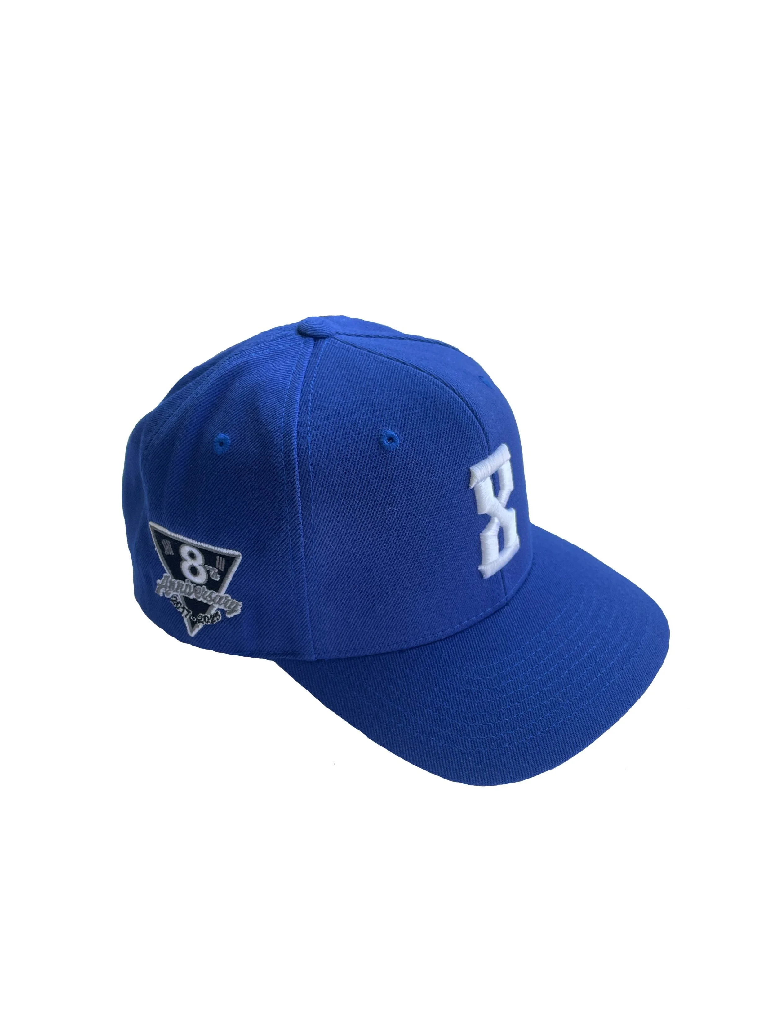 bluesnap.jpg