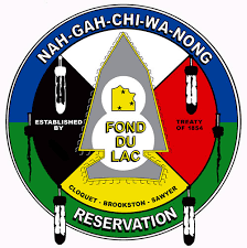 Logo FDL.png