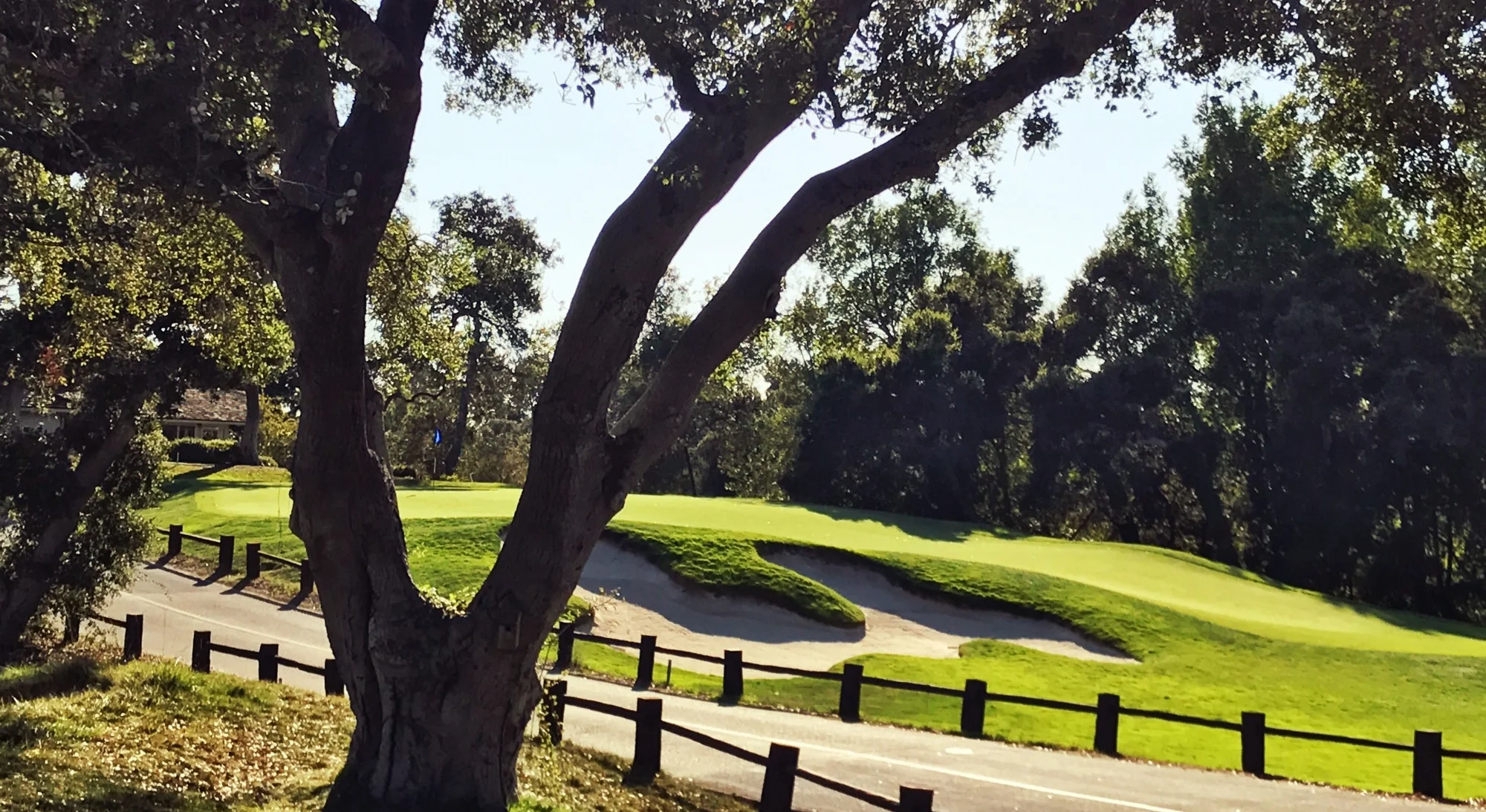 A parting view of the sixteenth green, MacKenzie’s final resting place.