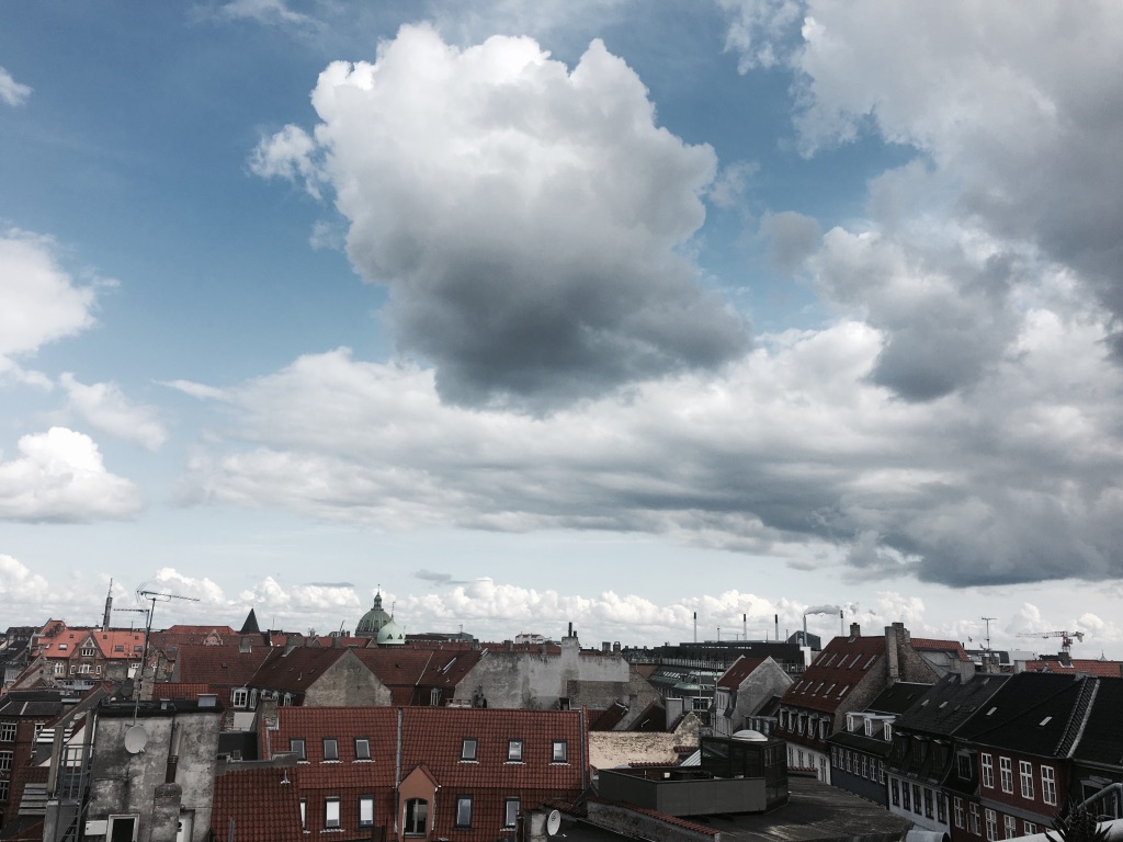 copenhagen roofs.jpg