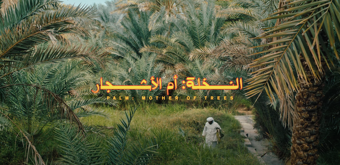 Pictures of the Past