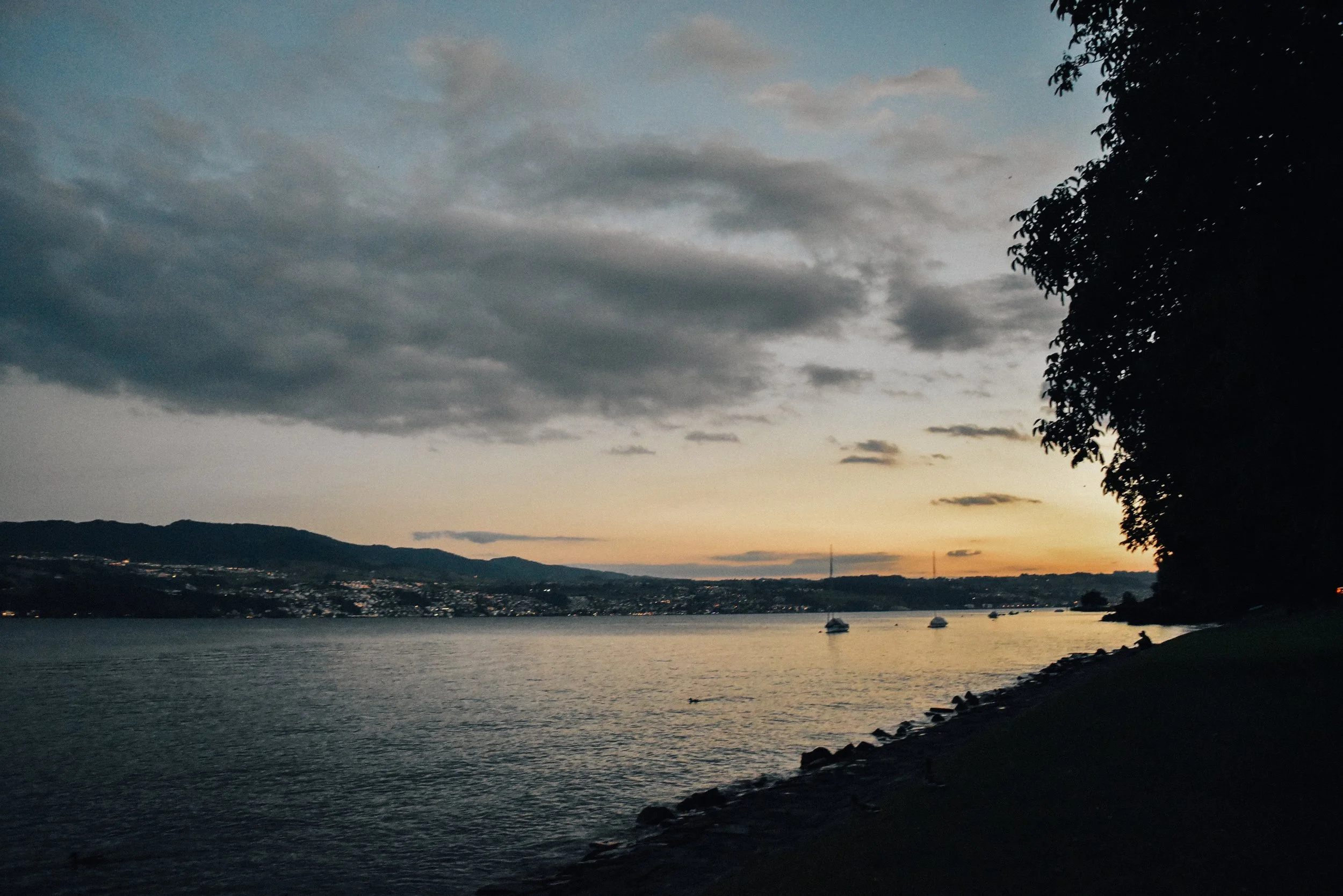 DSC_0090 (2).jpg