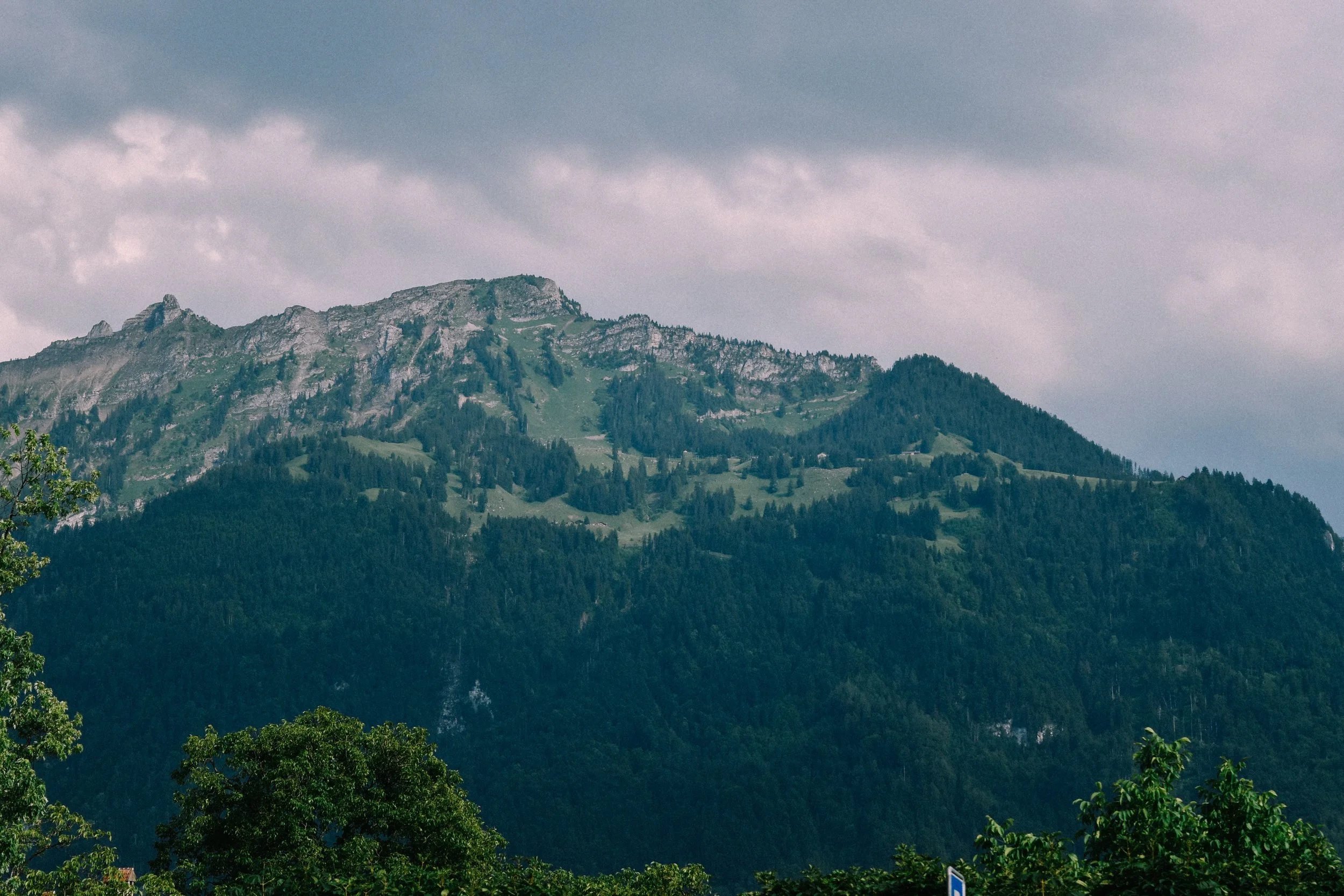 DSC_0352 (2).jpg