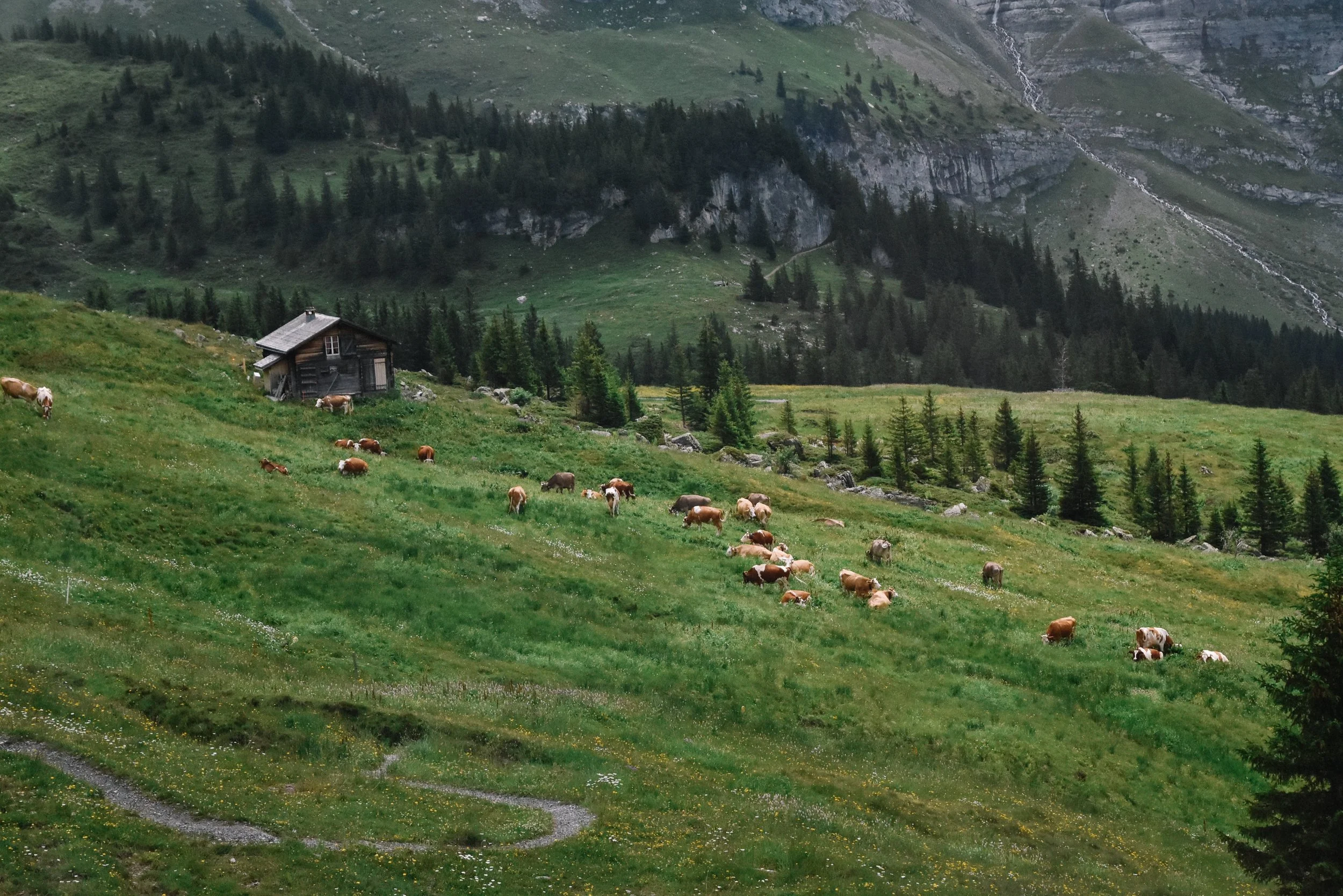 DSC_0398 (1).jpg
