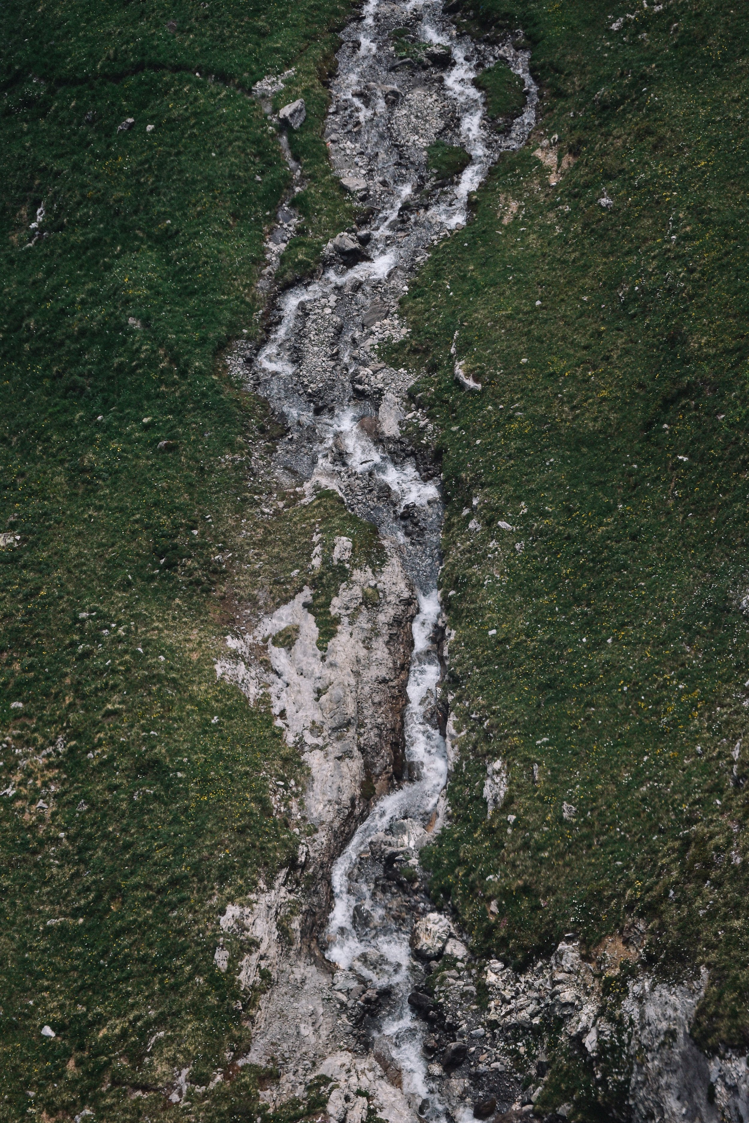 DSC_1008 (1).jpg