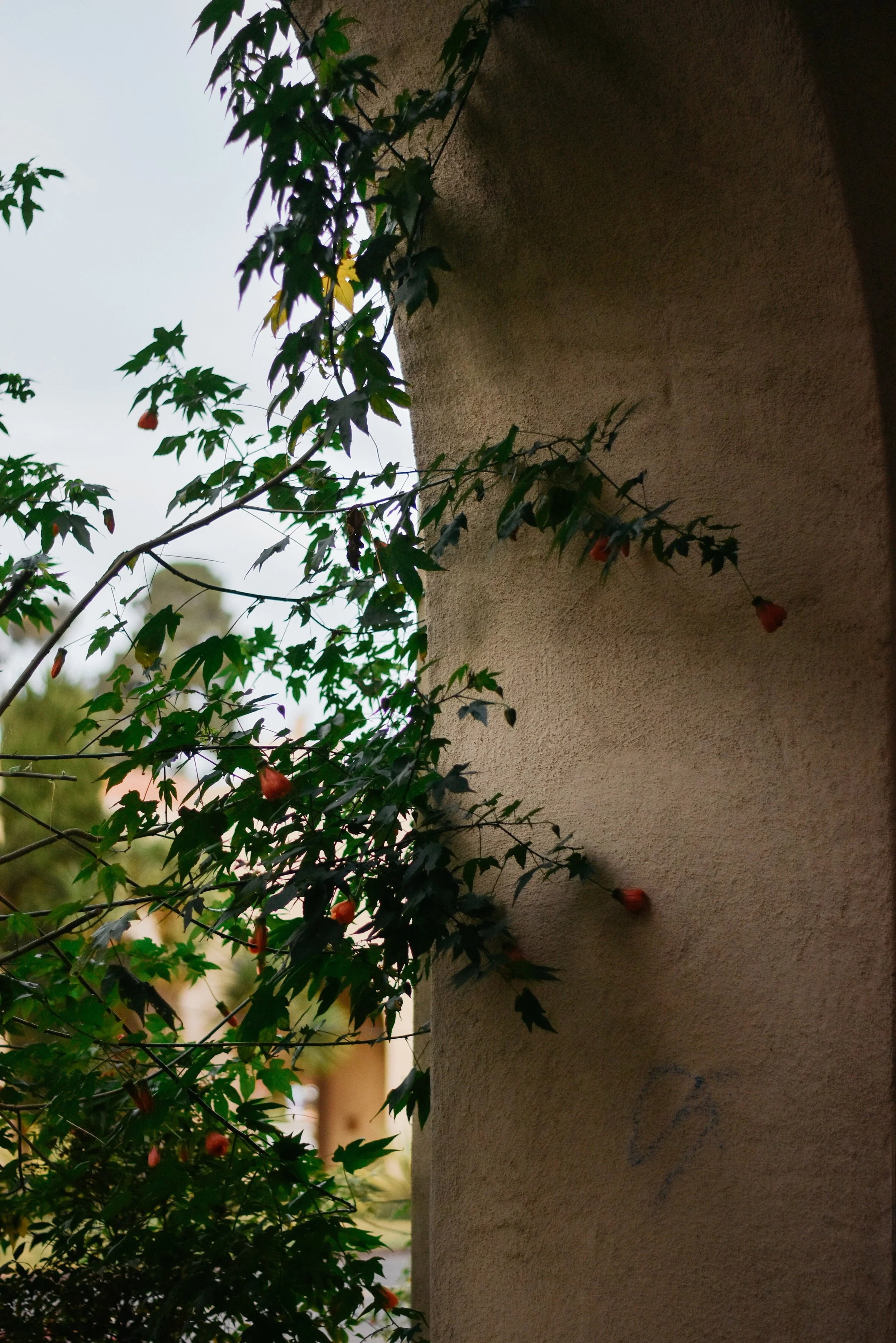 DSC_0169.jpg