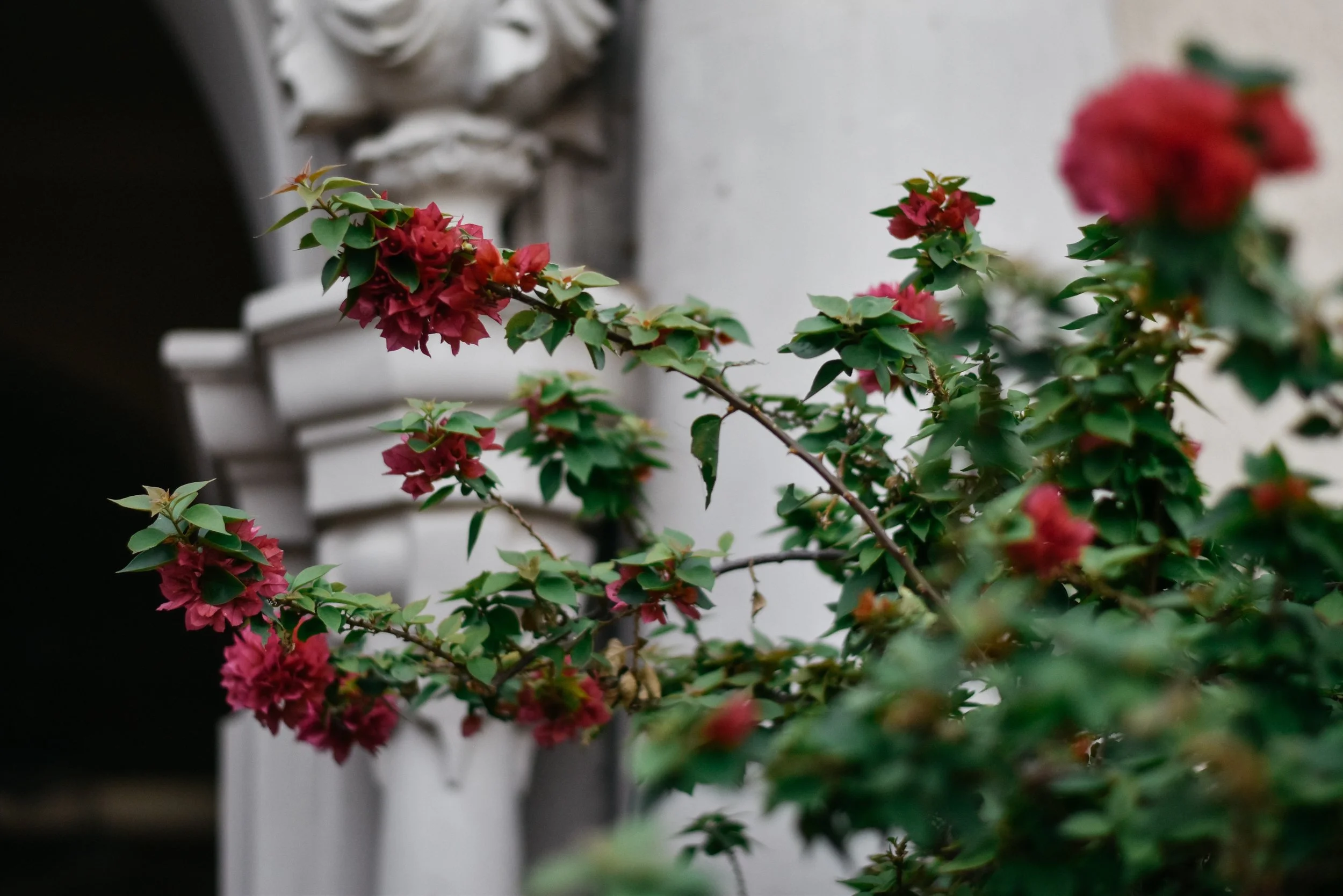 DSC_0173.jpg