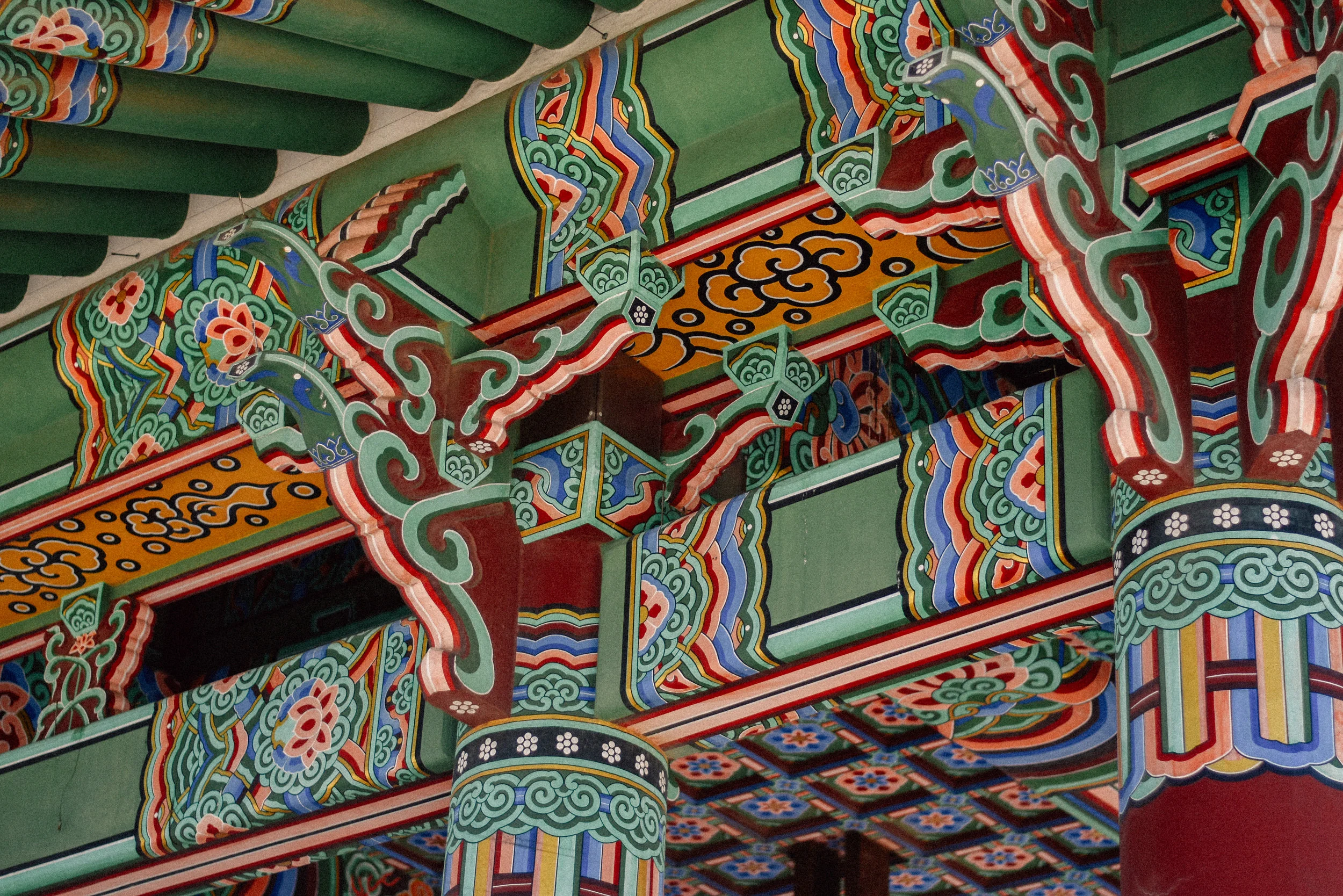 DSC_0016.jpg