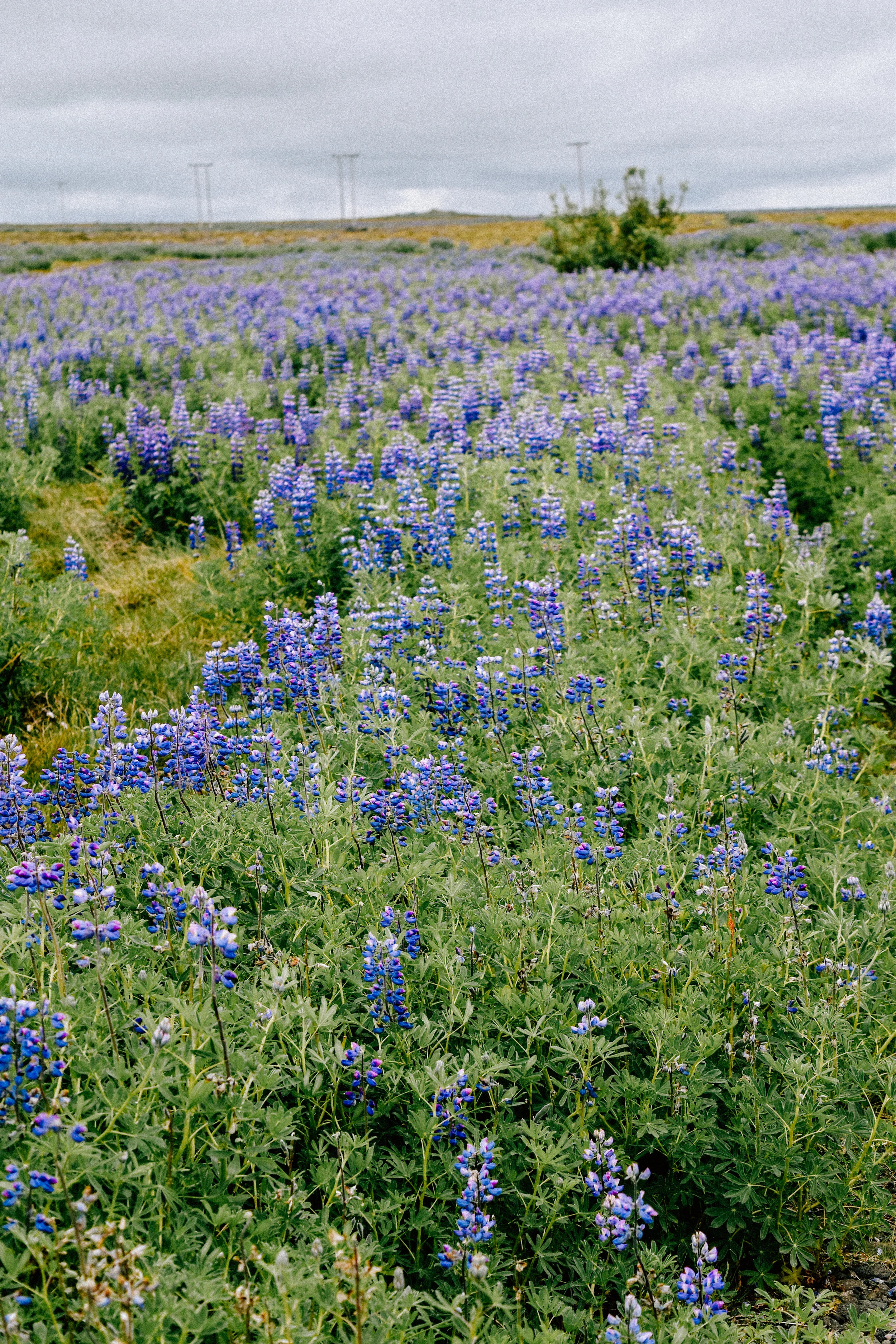 DSC_0341.jpg