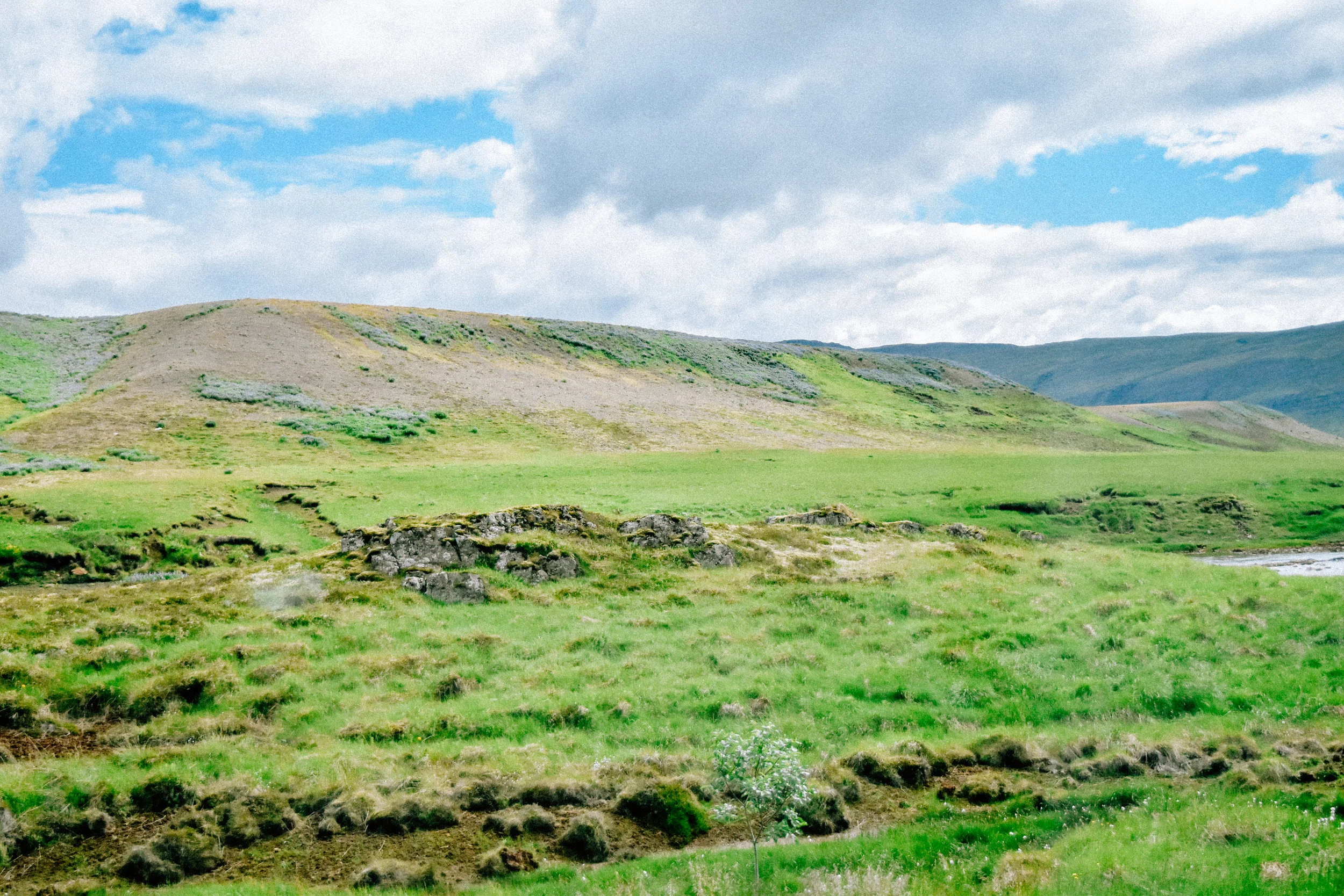 DSC_0548.jpg