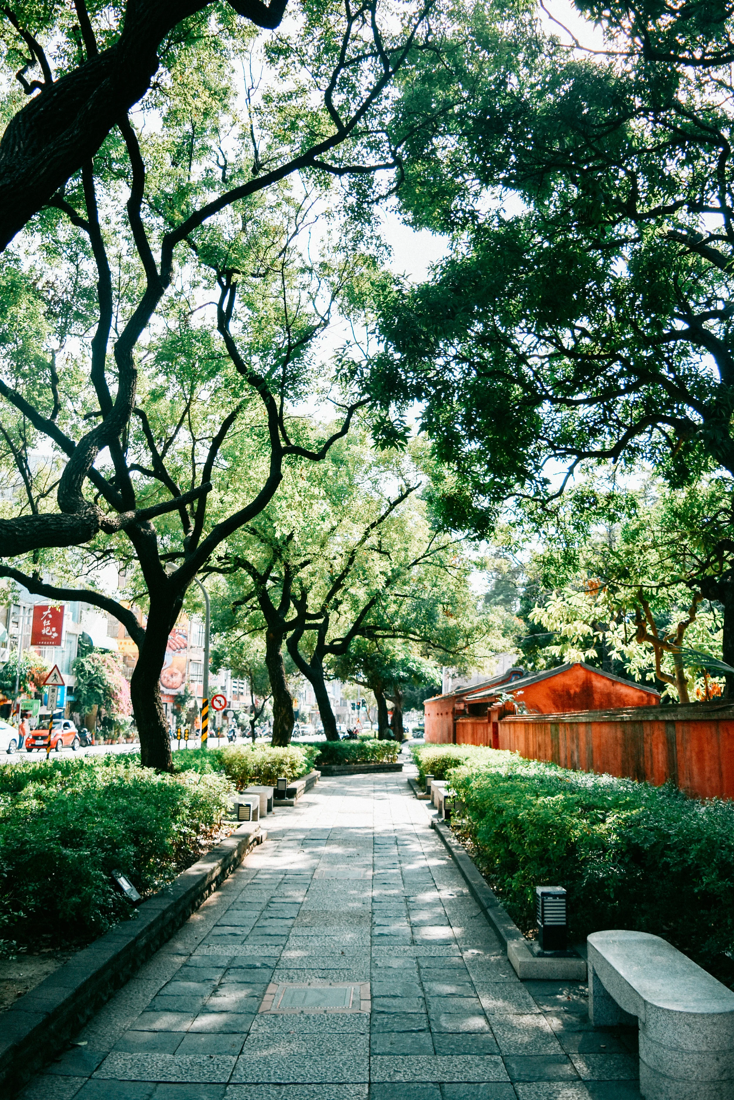 DSC_0123.jpg