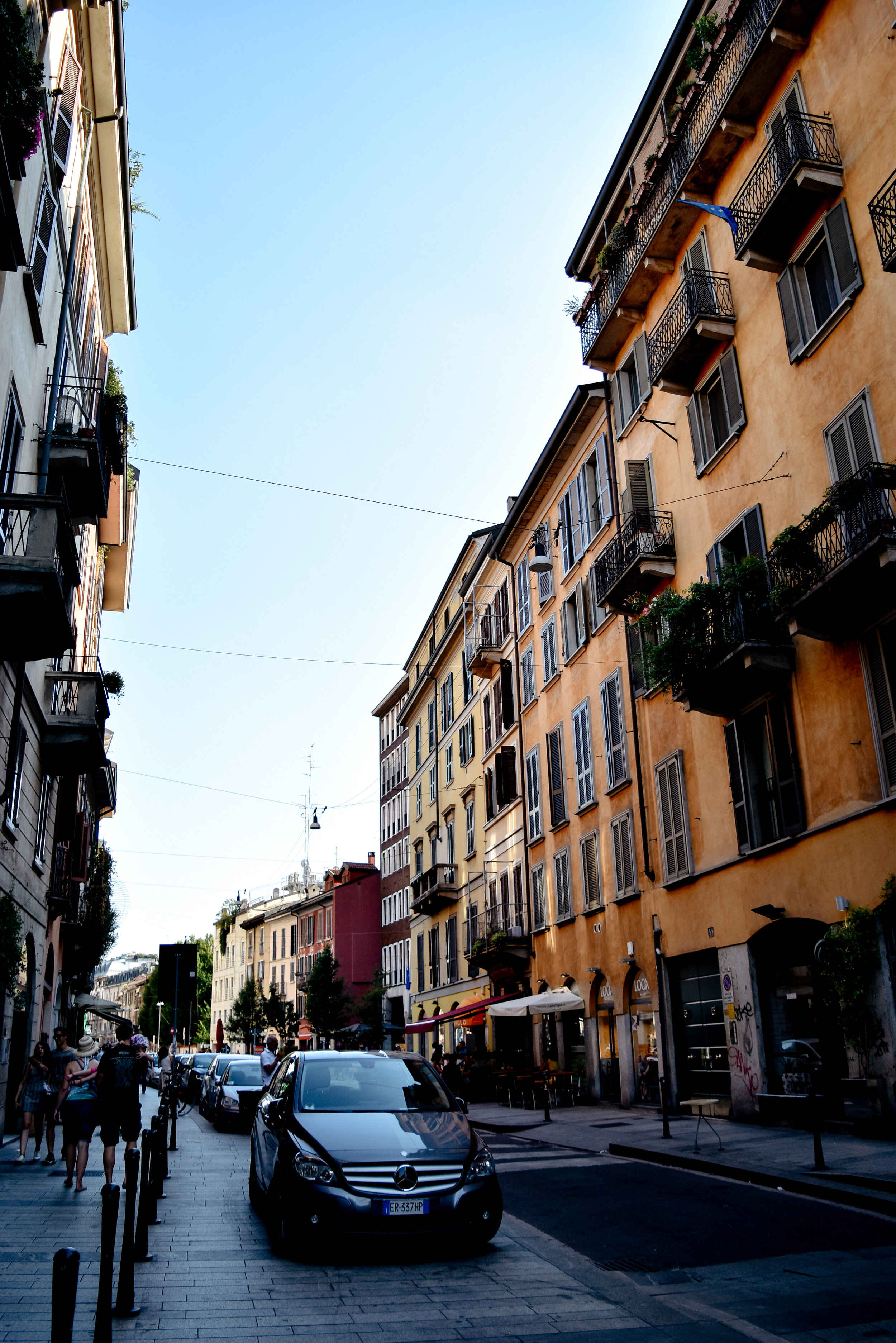 DSC_0051.jpg