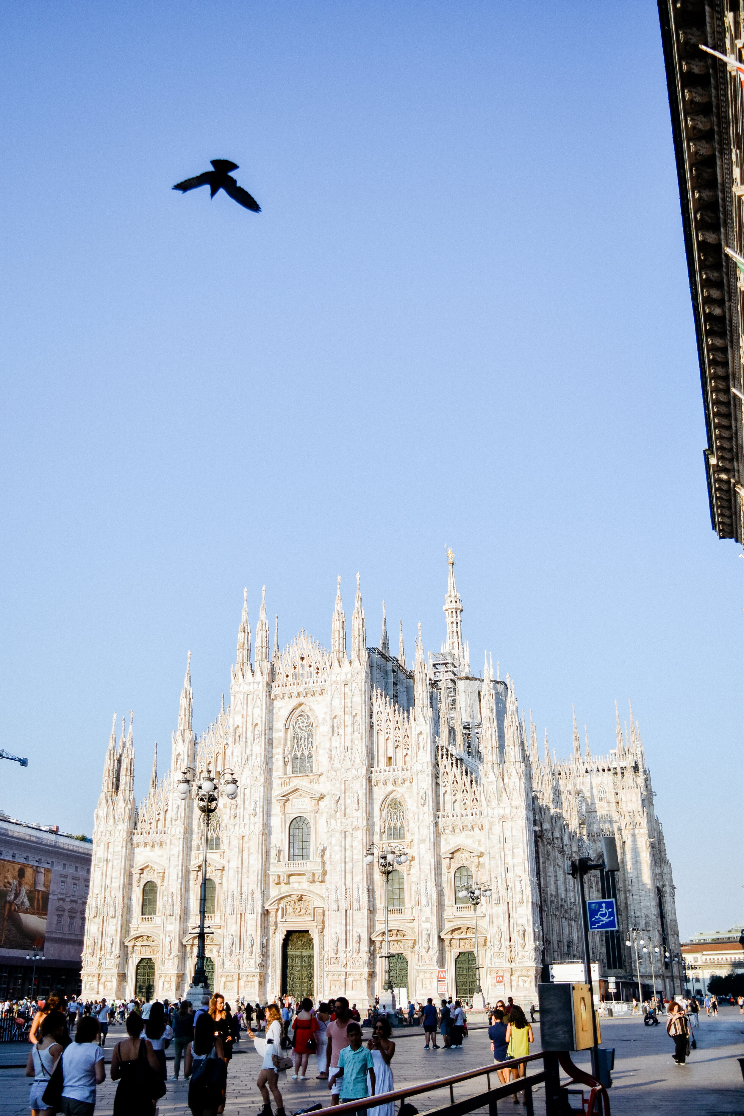 DSC_0207.jpg