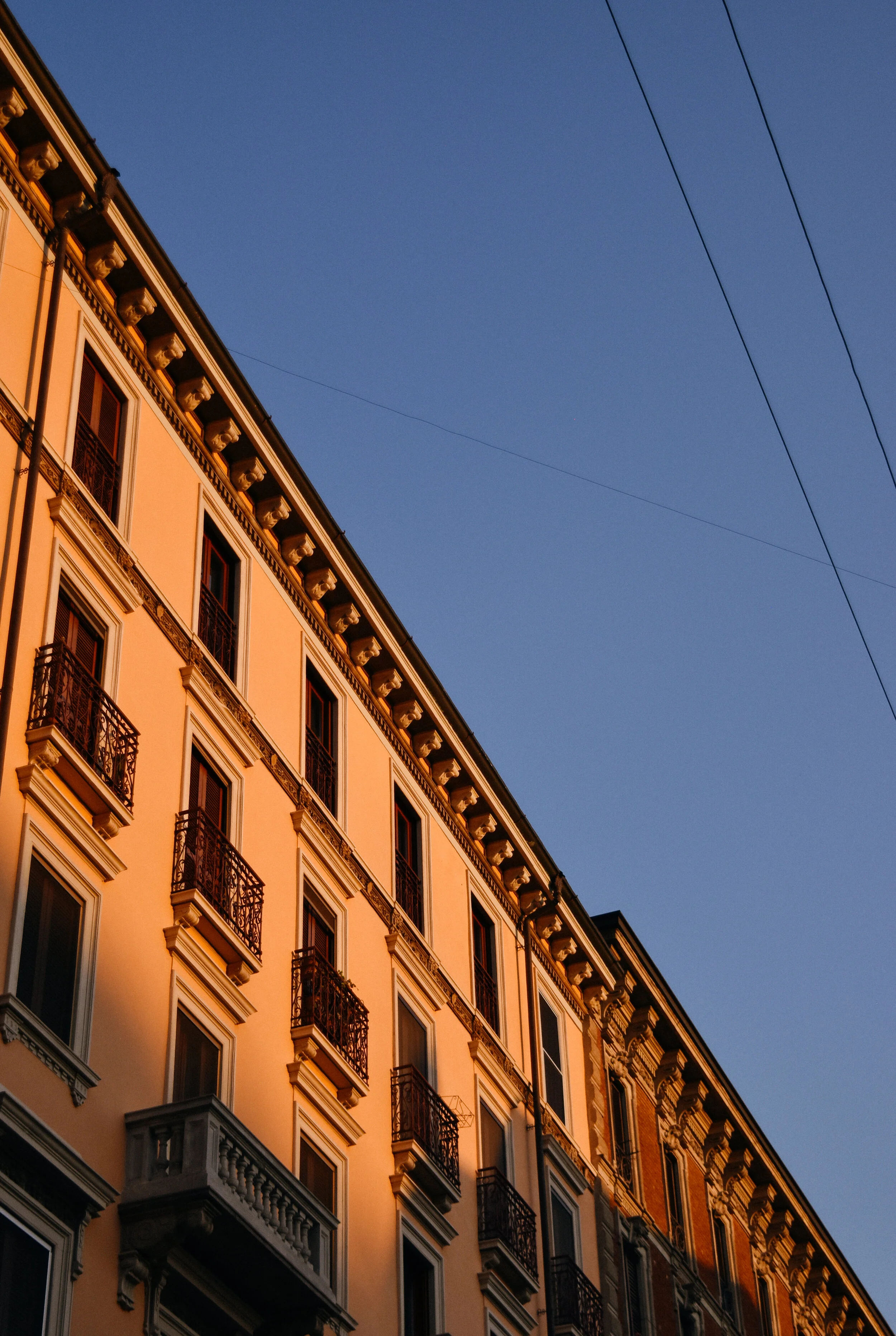 DSC_0217.jpg