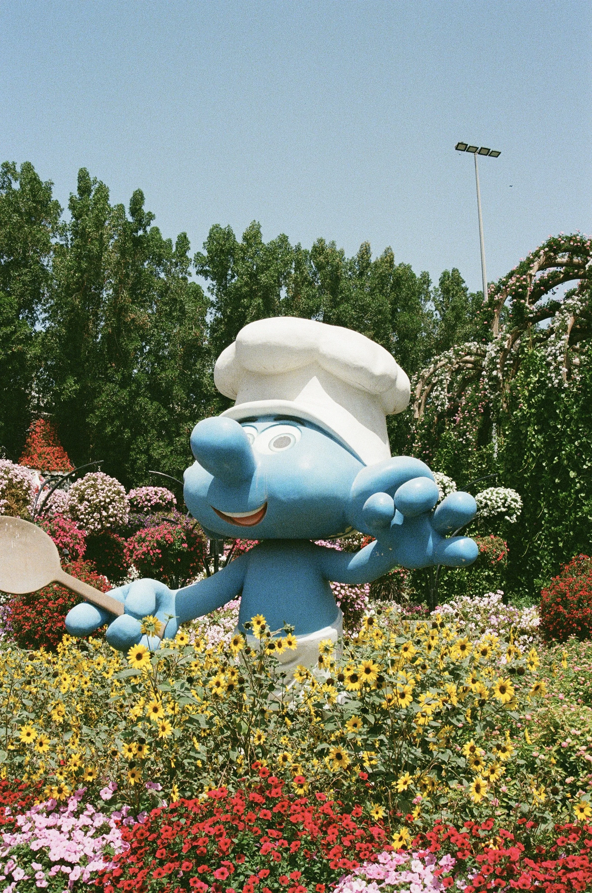 25340002.JPG