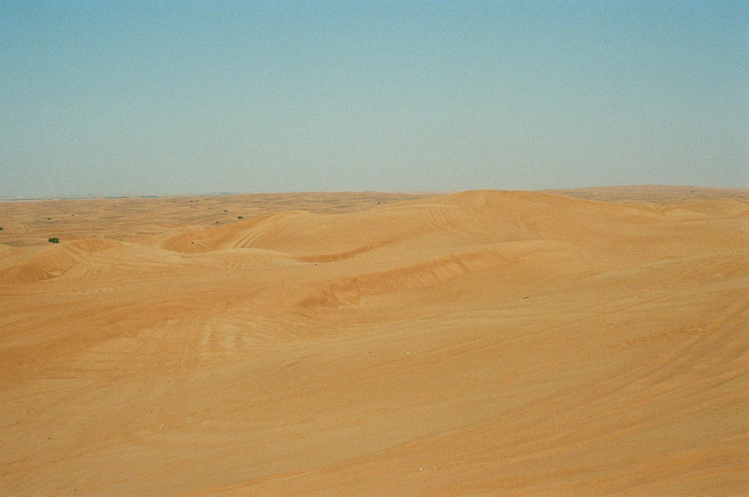 25340014.JPG