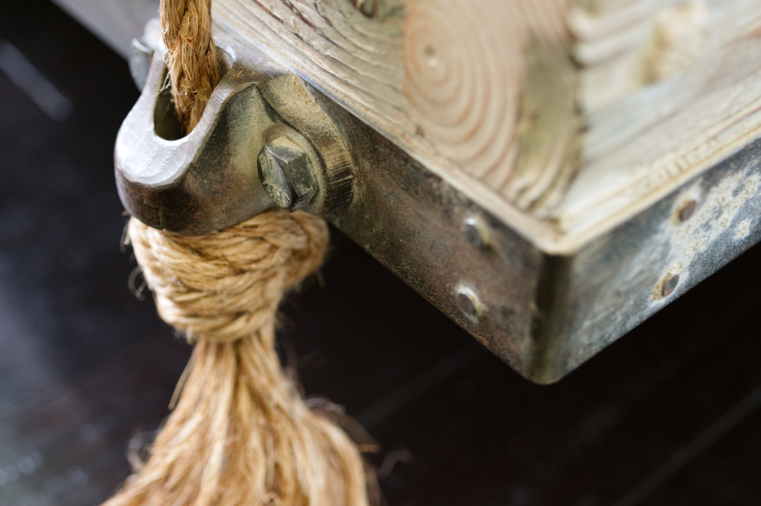 ben-riddering-hanging-bed