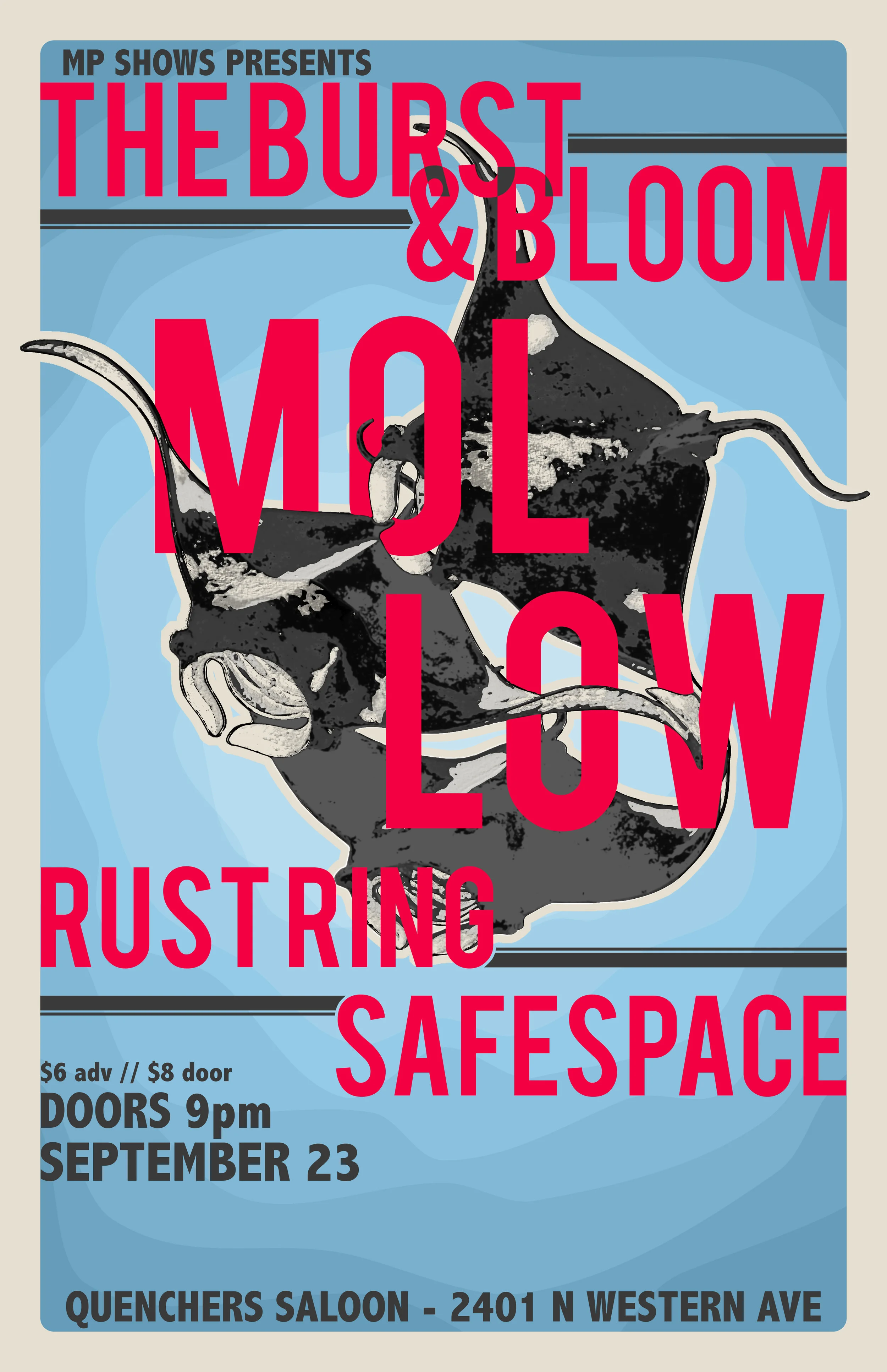 MOLLOW 1.jpg