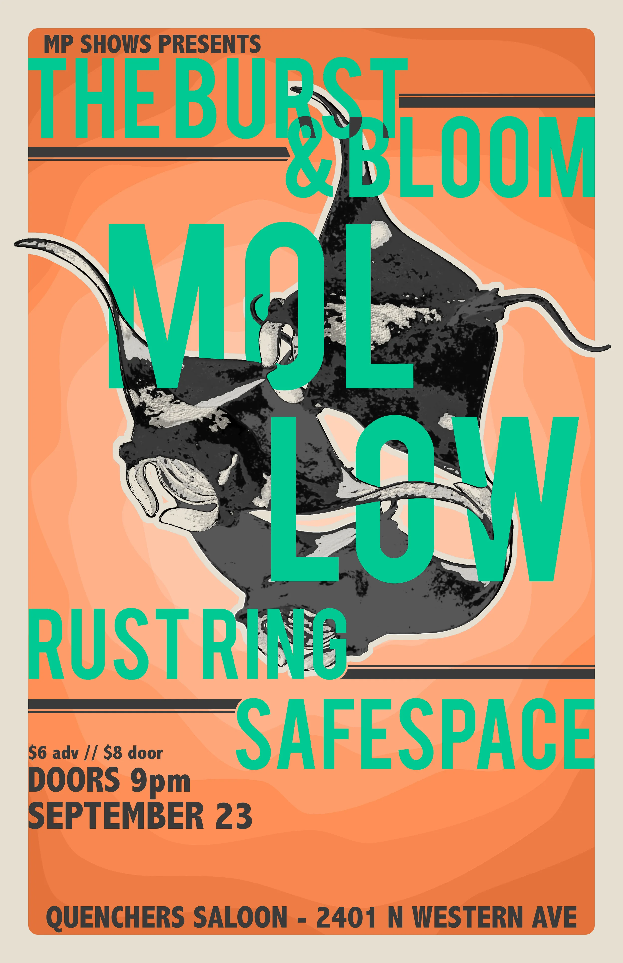 MOLLOW 2.jpg