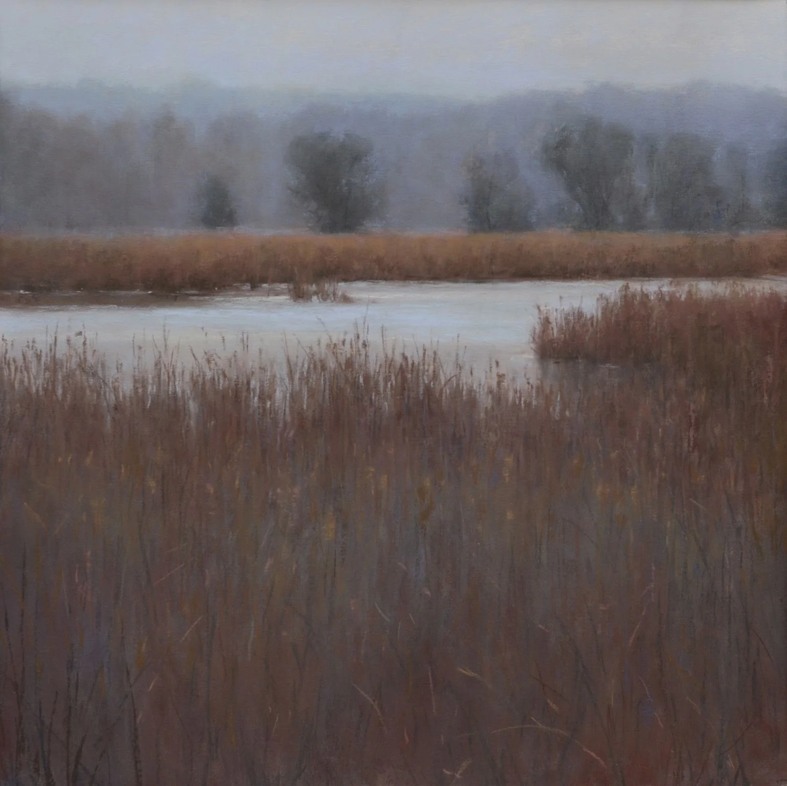 Life of the Marsh