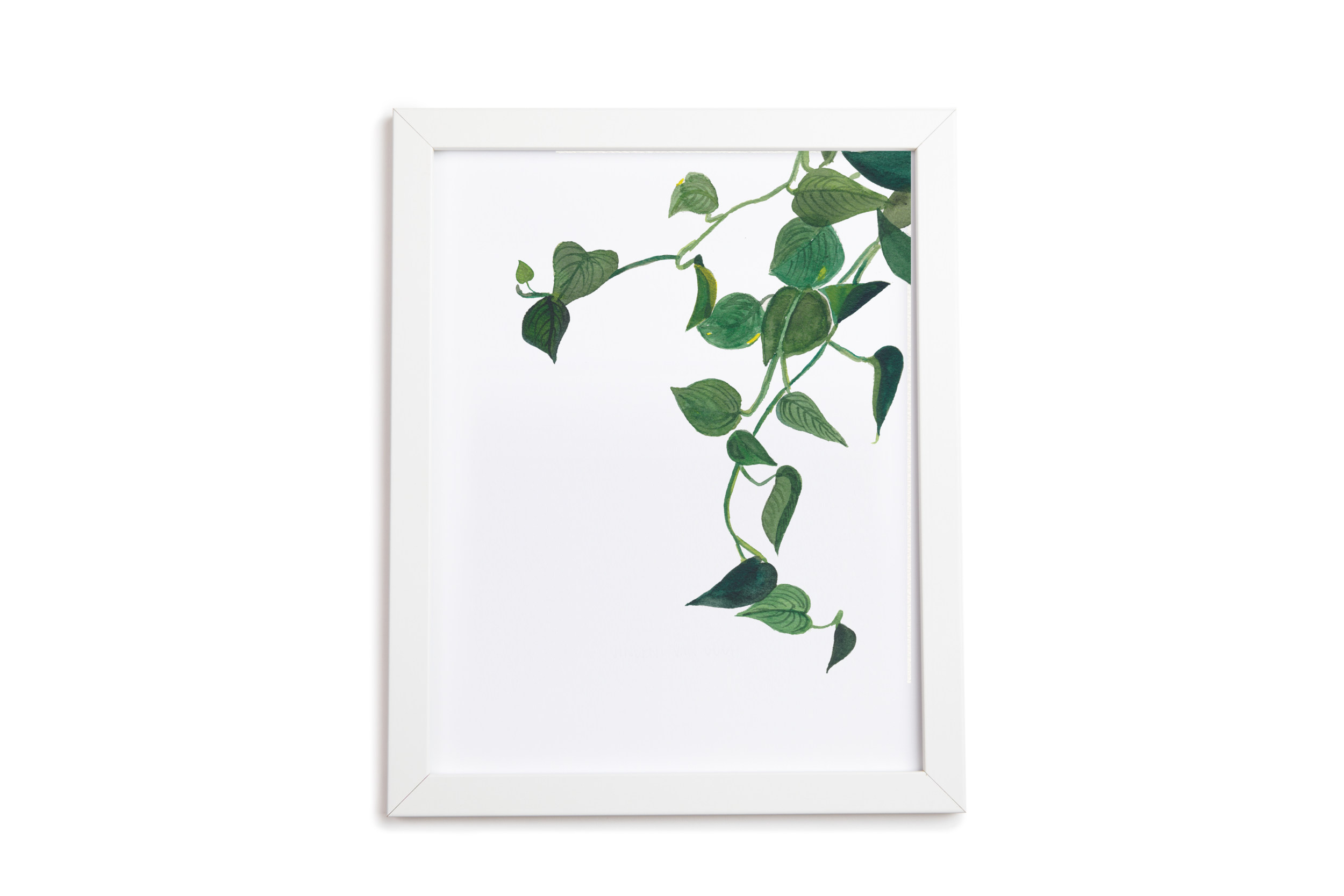 pothos hanging_frame.png