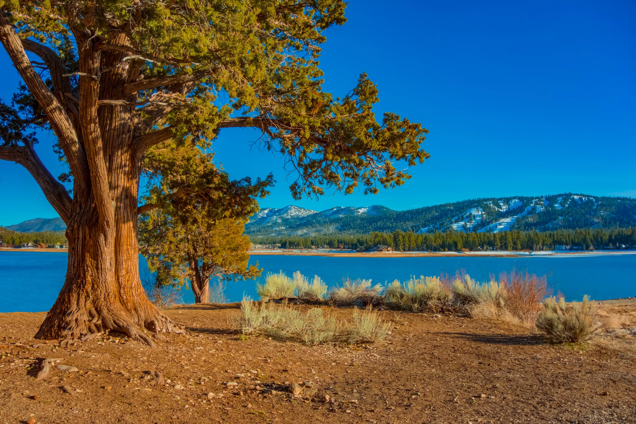 Photo by Ron_Thomas/iStock / Getty Images