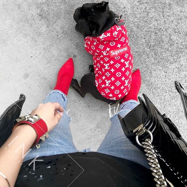 Some of my favourite things: Frenchies, booties, and fashion 🐶
.
FUN FACT:
Before becoming a business owner, I was a style blogger 😊 and I don&rsquo;t own a single pair of jeans that aren&rsquo;t ripped and distressed lol ✂️
.
Shout out to @kriisty