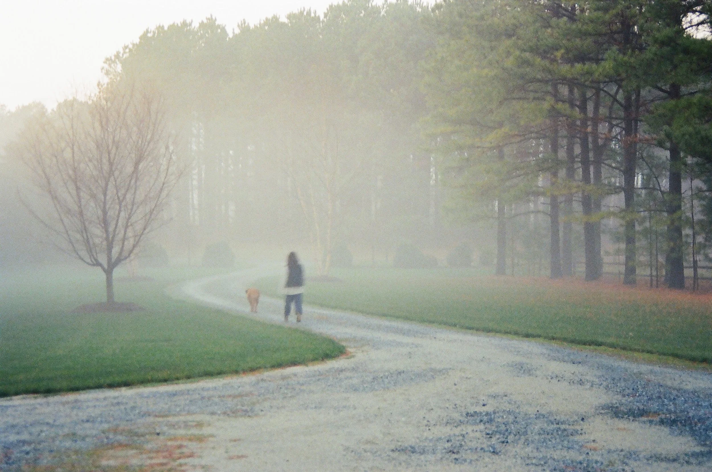 Rovers Stepping Through The Valance