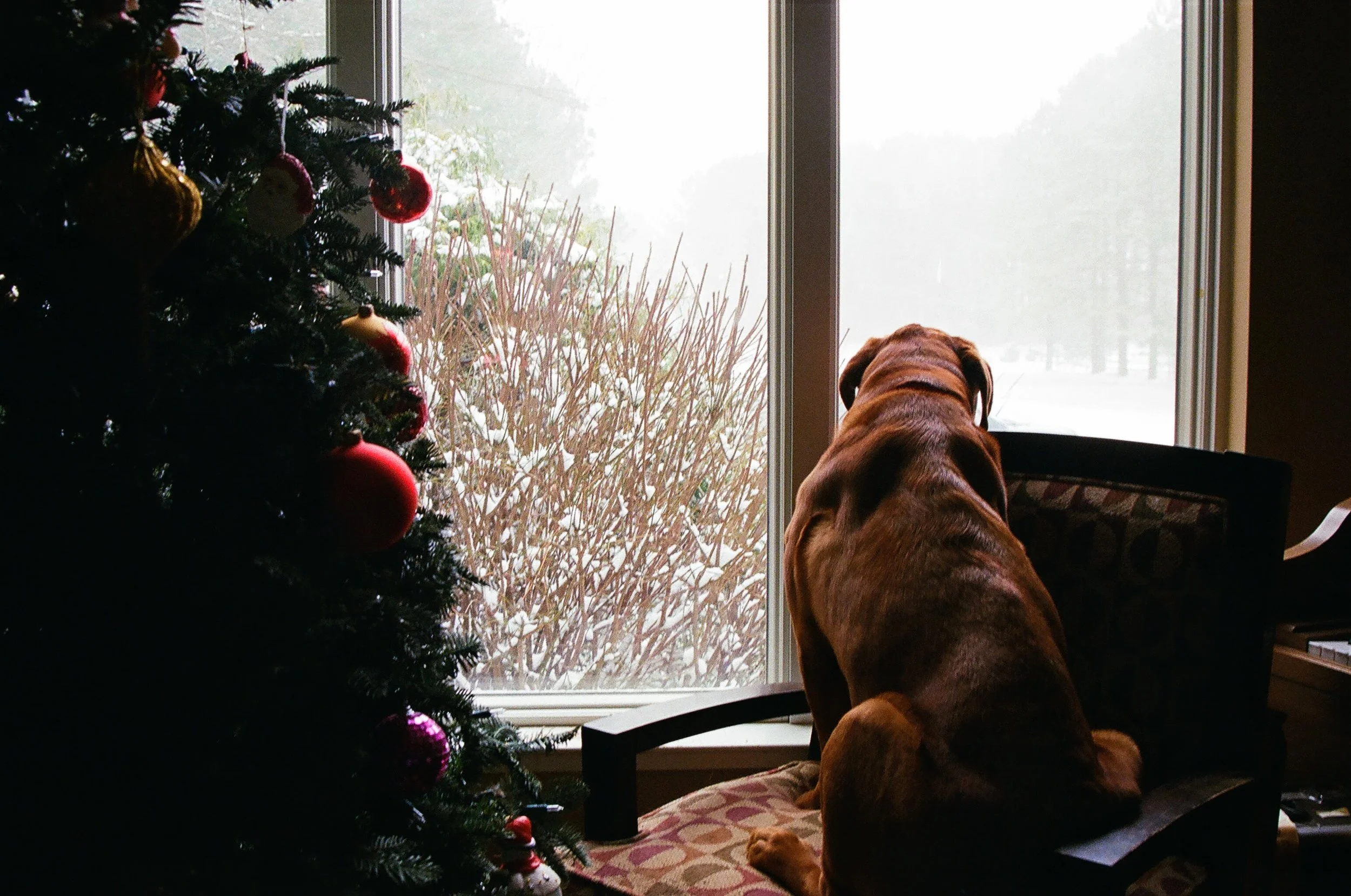 Figures in the Whirlwind