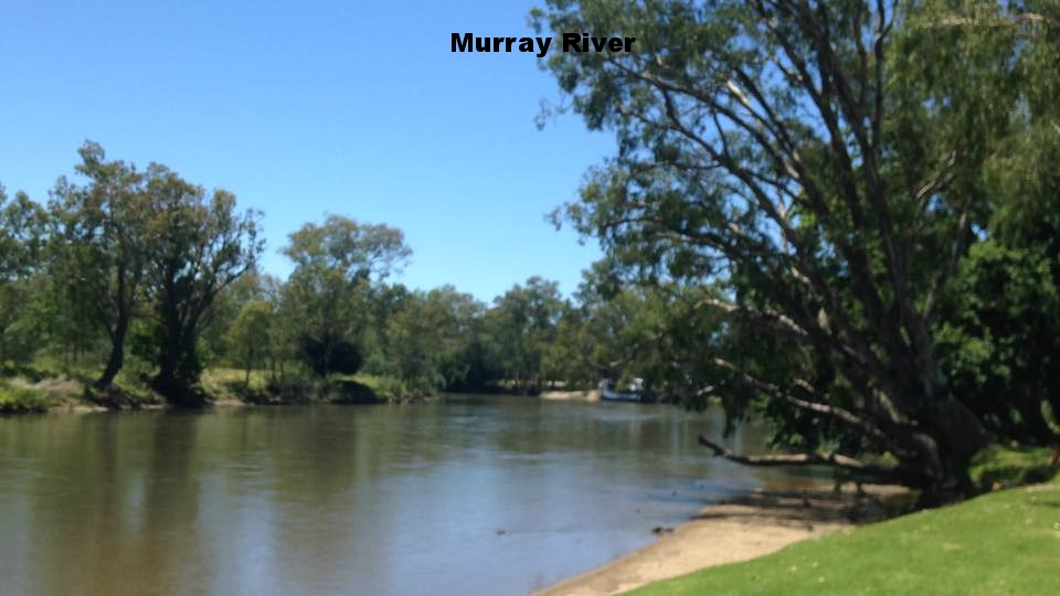 MURRAY RIVER NEW SOUTH WALES