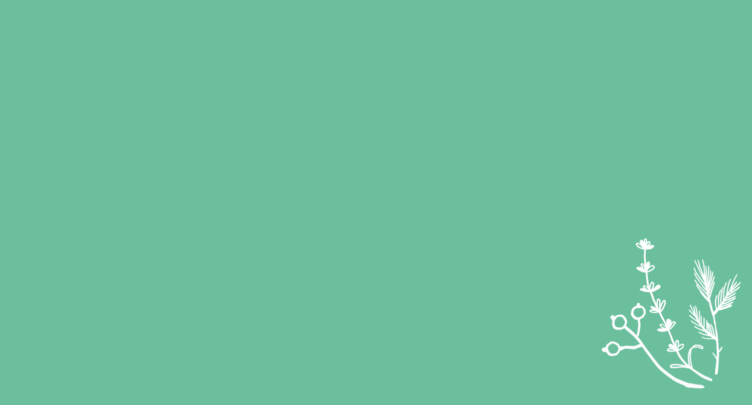 plantb2g.png