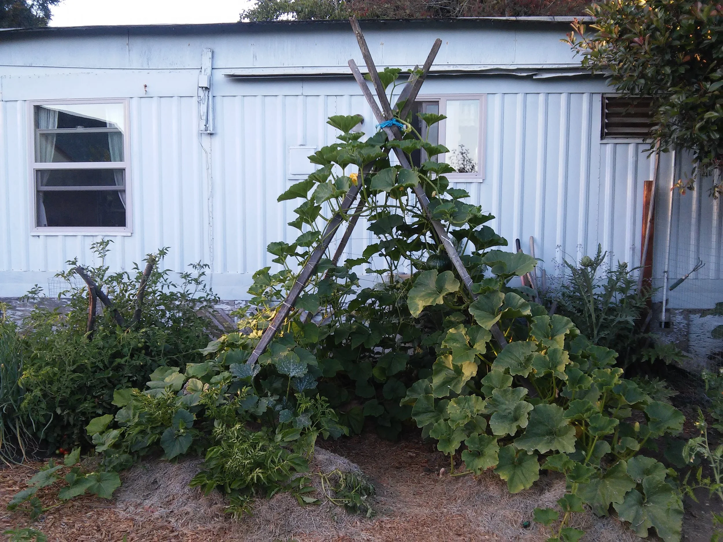 20160710_194726.jpg