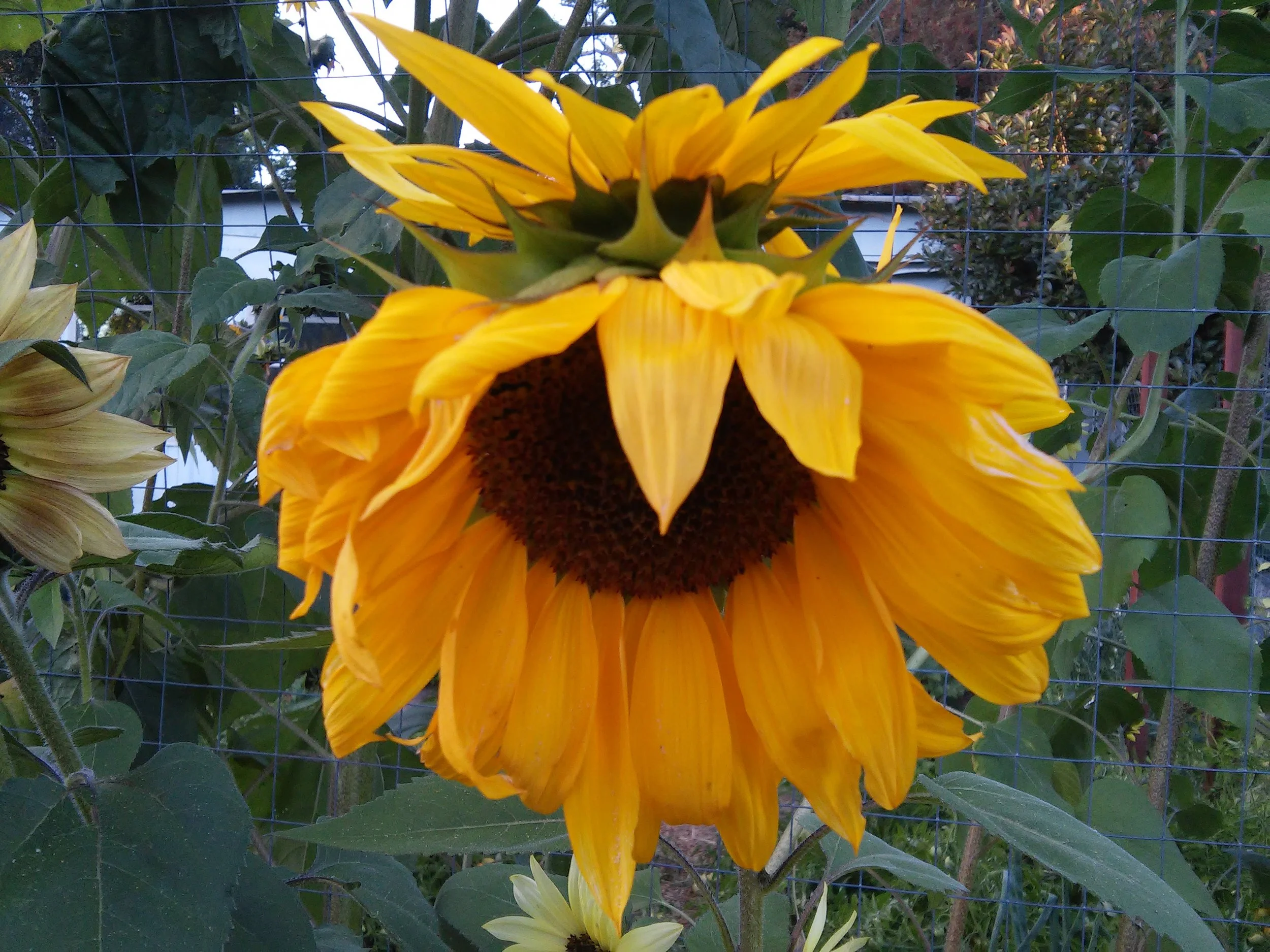 20160710_194948.jpg