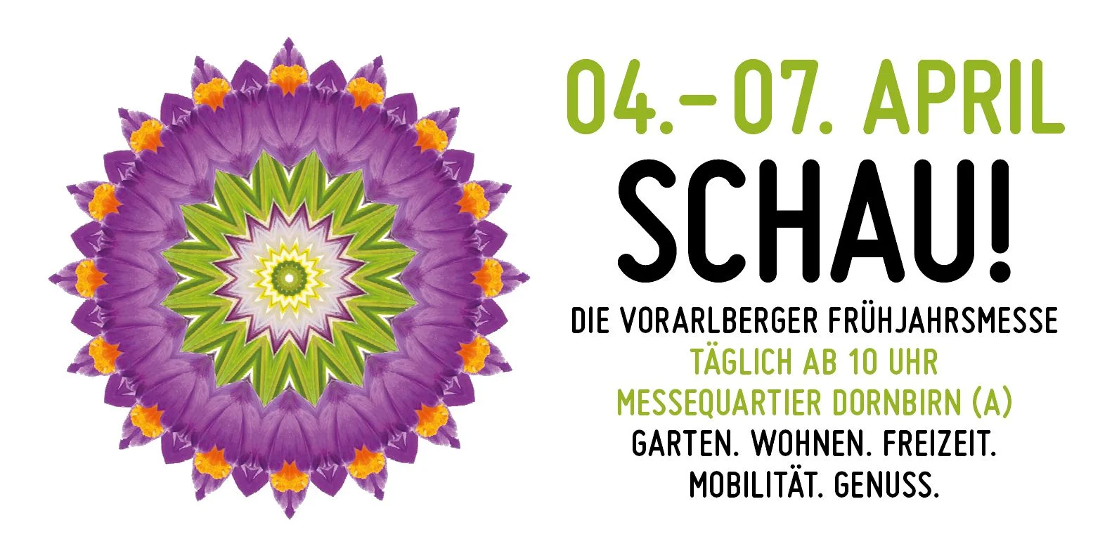 Logo-Schau!_2019.jpg