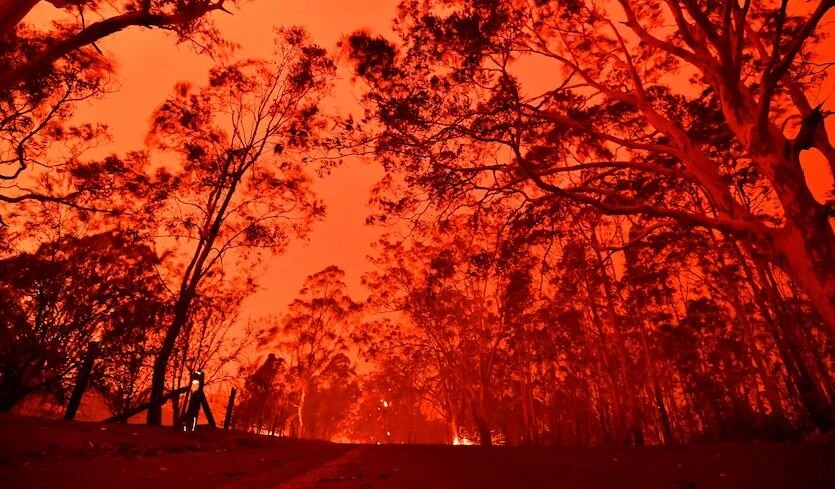 Bushfire Relief dinner at The Moat