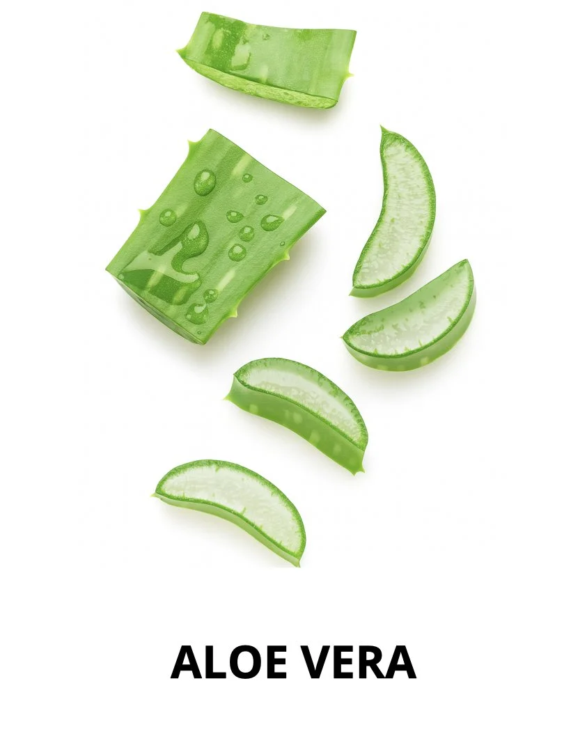 Primer ingredients.001.jpeg