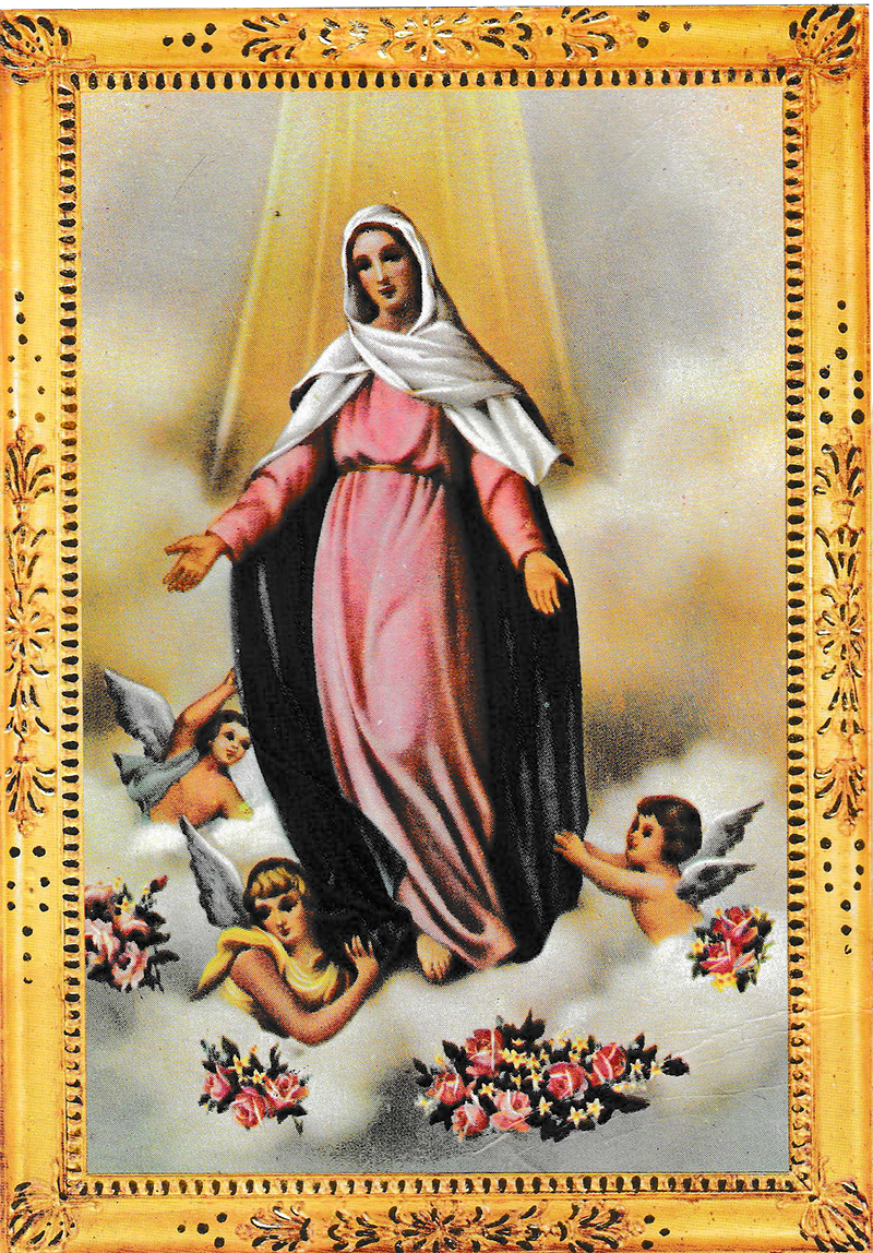 lucia object scan_web.png