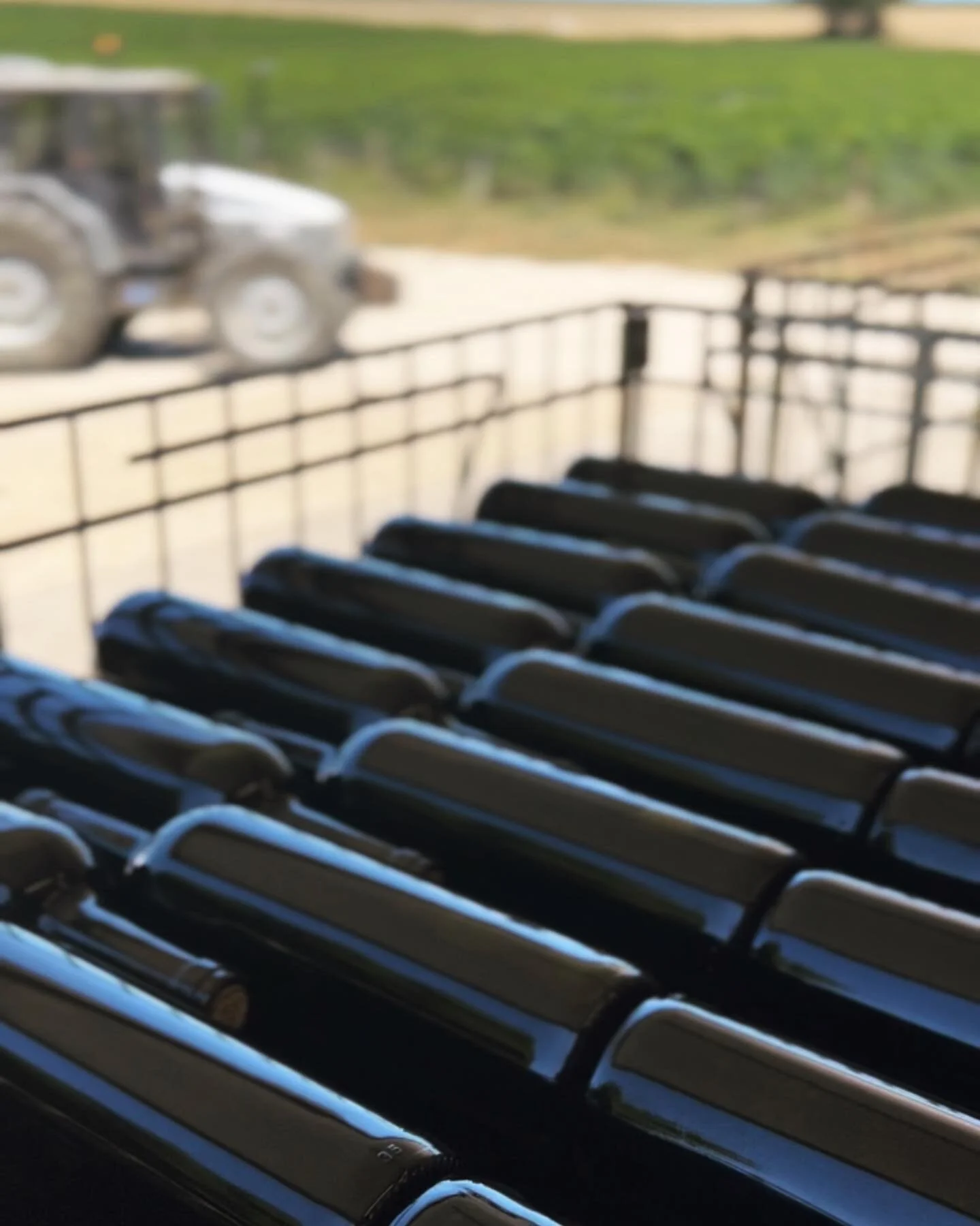 New vintages of Le Fruit Défendu, L’Amour Fragile & L’Aventure Nocturne have been bottled today. Soon available!! π·β€οΈπΏ #charivariwines #laventurenocturne #lefruitdefendu #lamourfragile #bordeauxwine #vindebordeaux #cadillacco