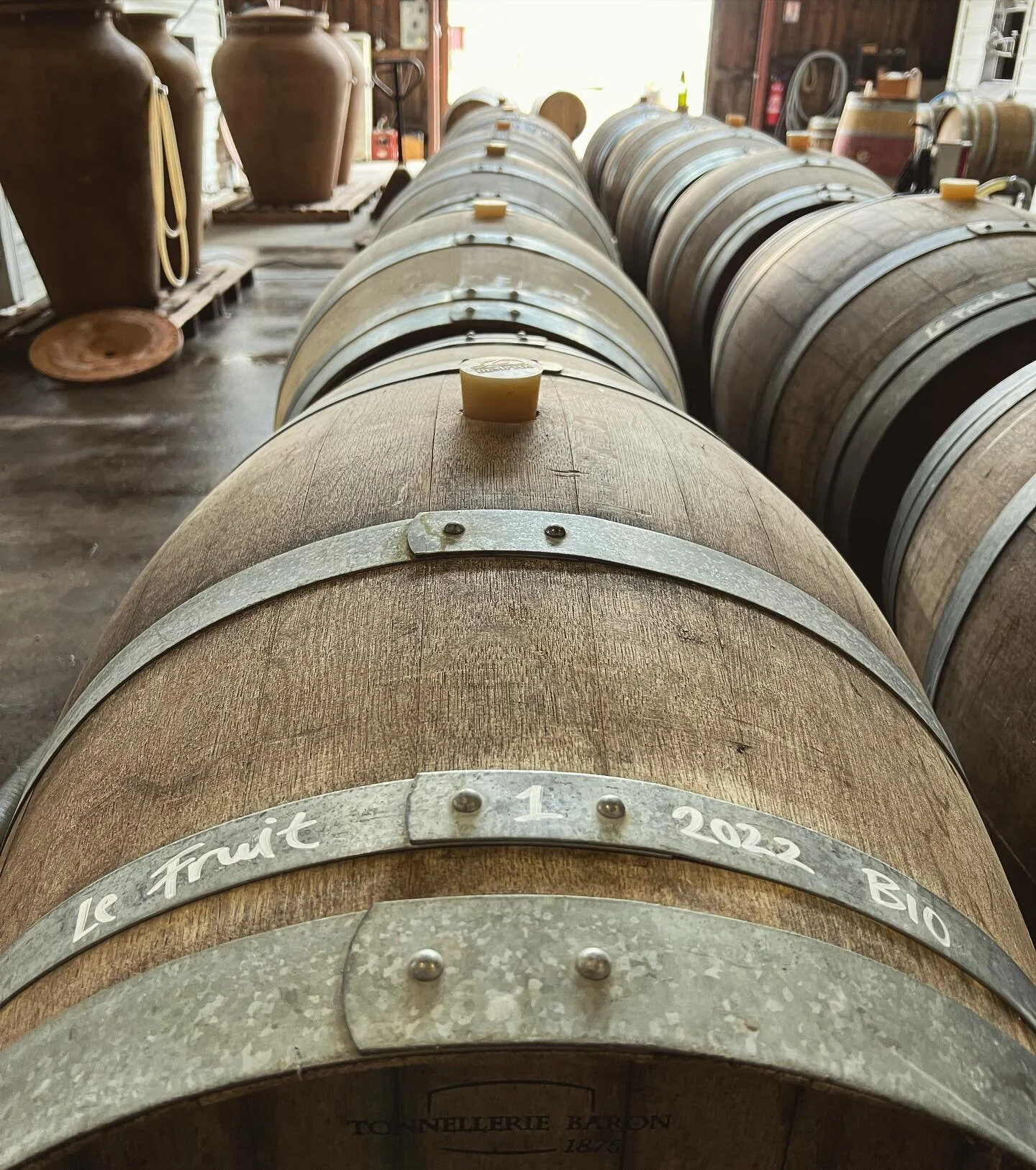 Le Fruit Defendu 2022 has been picked and is now happily in barrels waiting for the natural yeasts to do their job! This is our first vintage with official certificate for organic agriculture! You’ll see that on the label later ! πͺπΌπ±π₯ #char