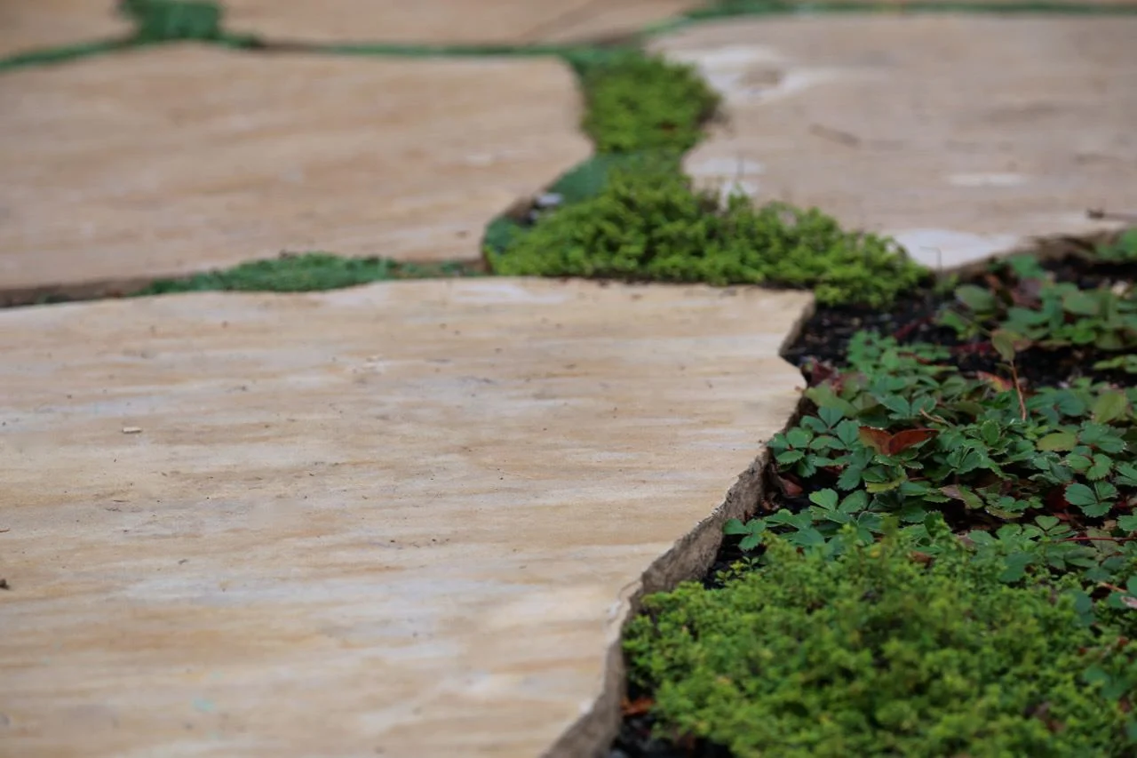 Stone — North Berkeley Design & Construction, Inc.