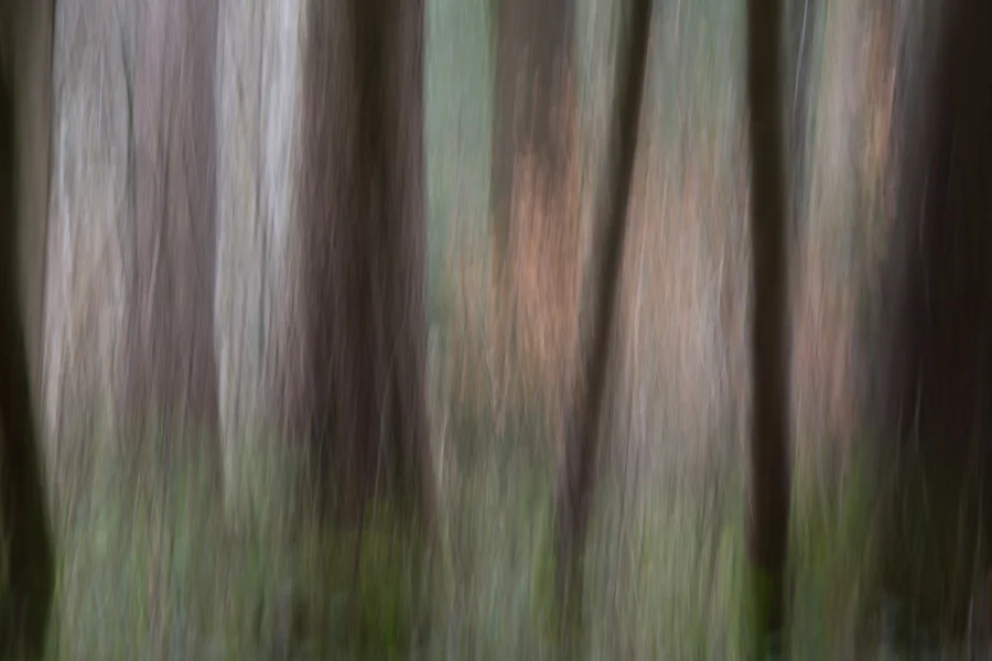 Impermanence5.jpg